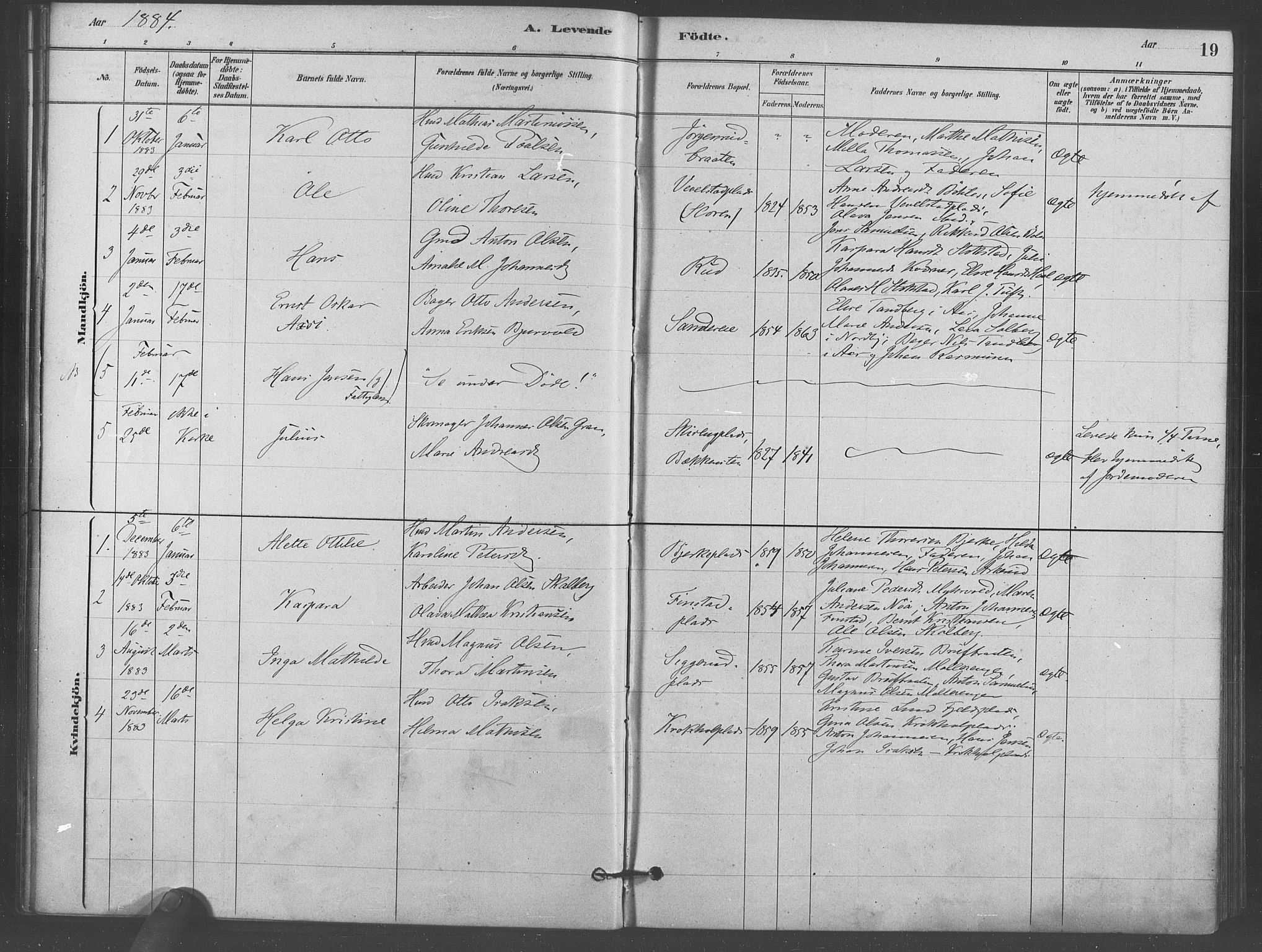 Kråkstad prestekontor Kirkebøker, AV/SAO-A-10125a/F/Fb/L0001: Parish register (official) no. II 1, 1880-1892, p. 19