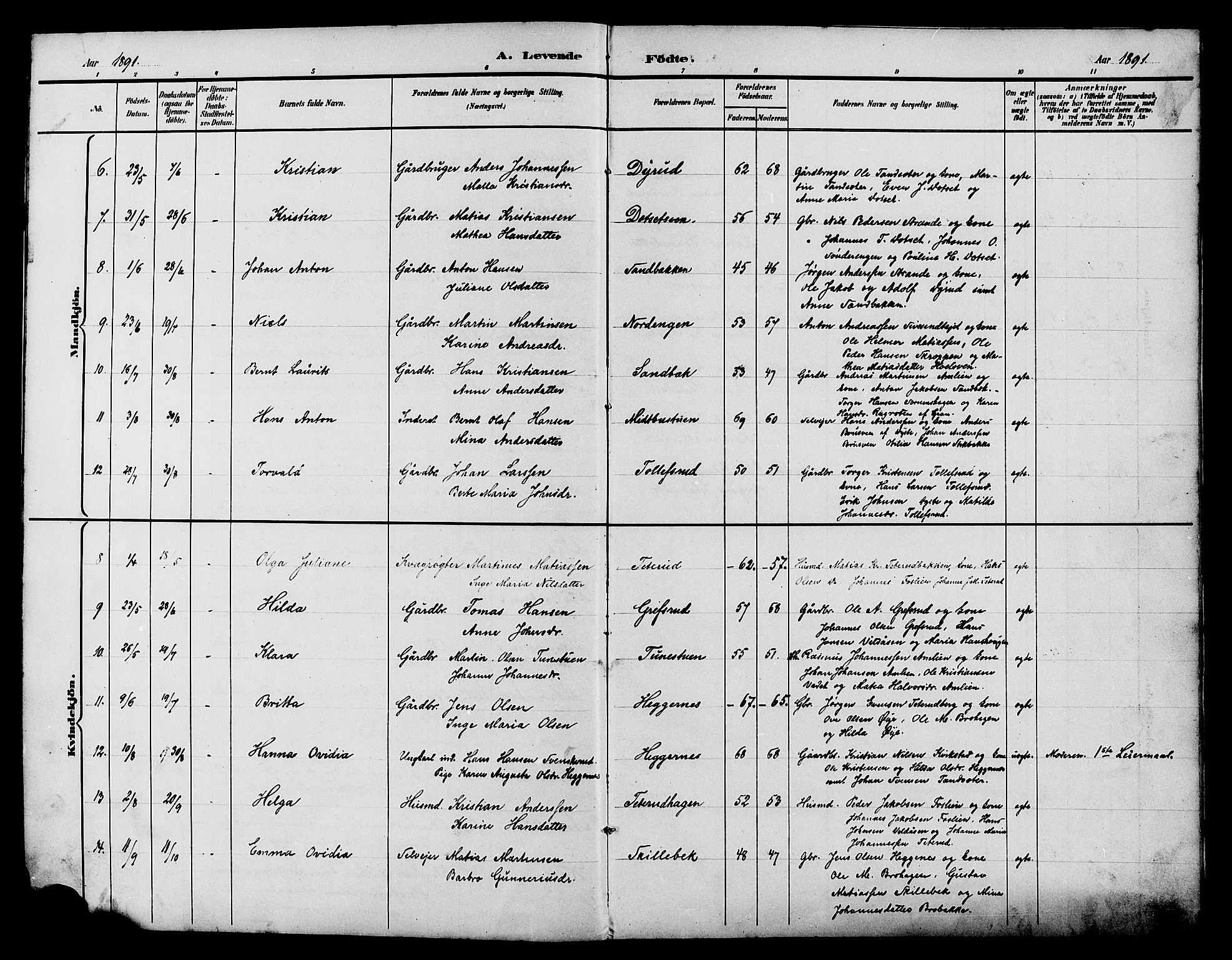 Vestre Toten prestekontor, AV/SAH-PREST-108/H/Ha/Hab/L0015: Parish register (copy) no. 15, 1890-1900