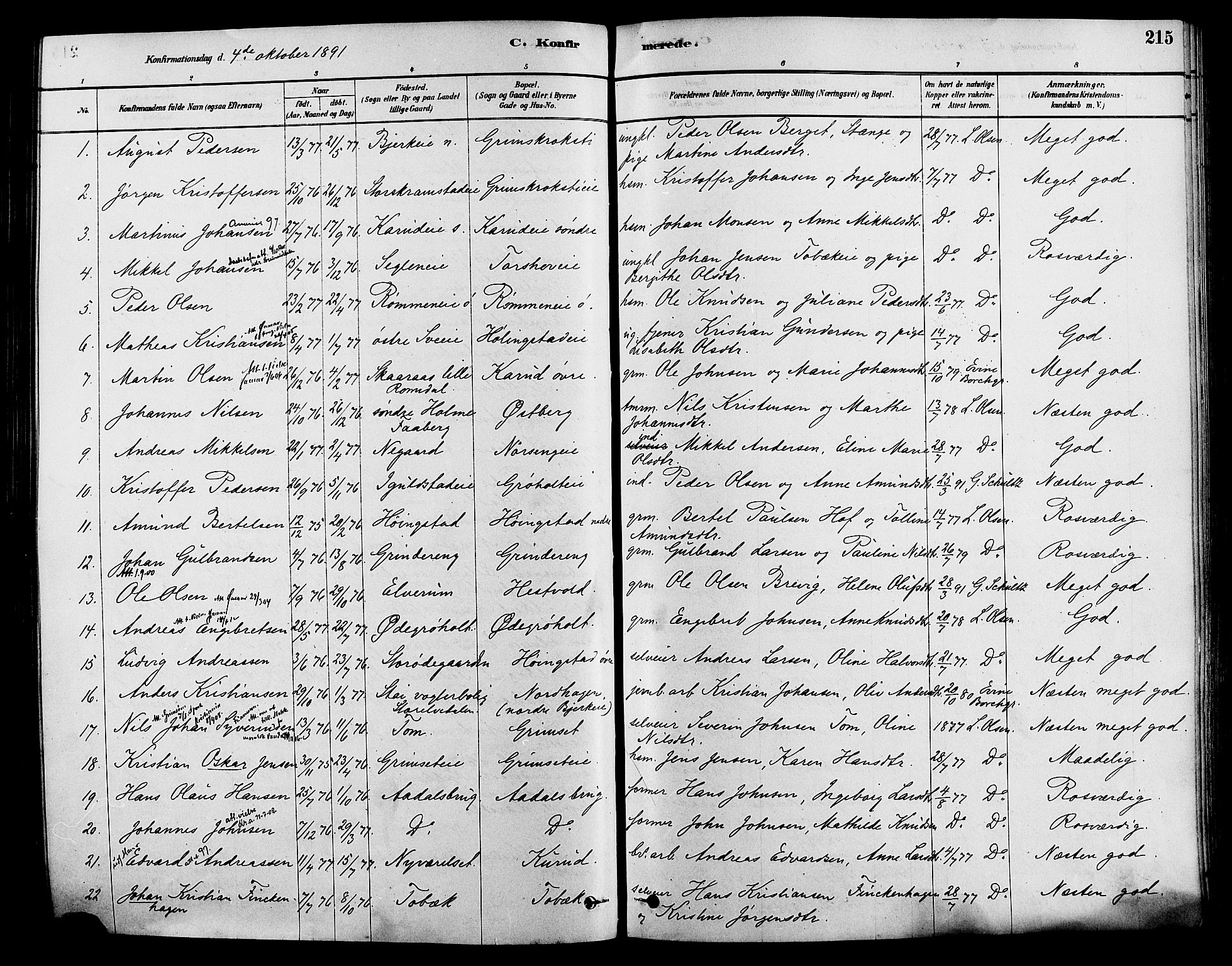 Løten prestekontor, AV/SAH-PREST-022/K/Ka/L0009: Parish register (official) no. 9, 1878-1891, p. 215