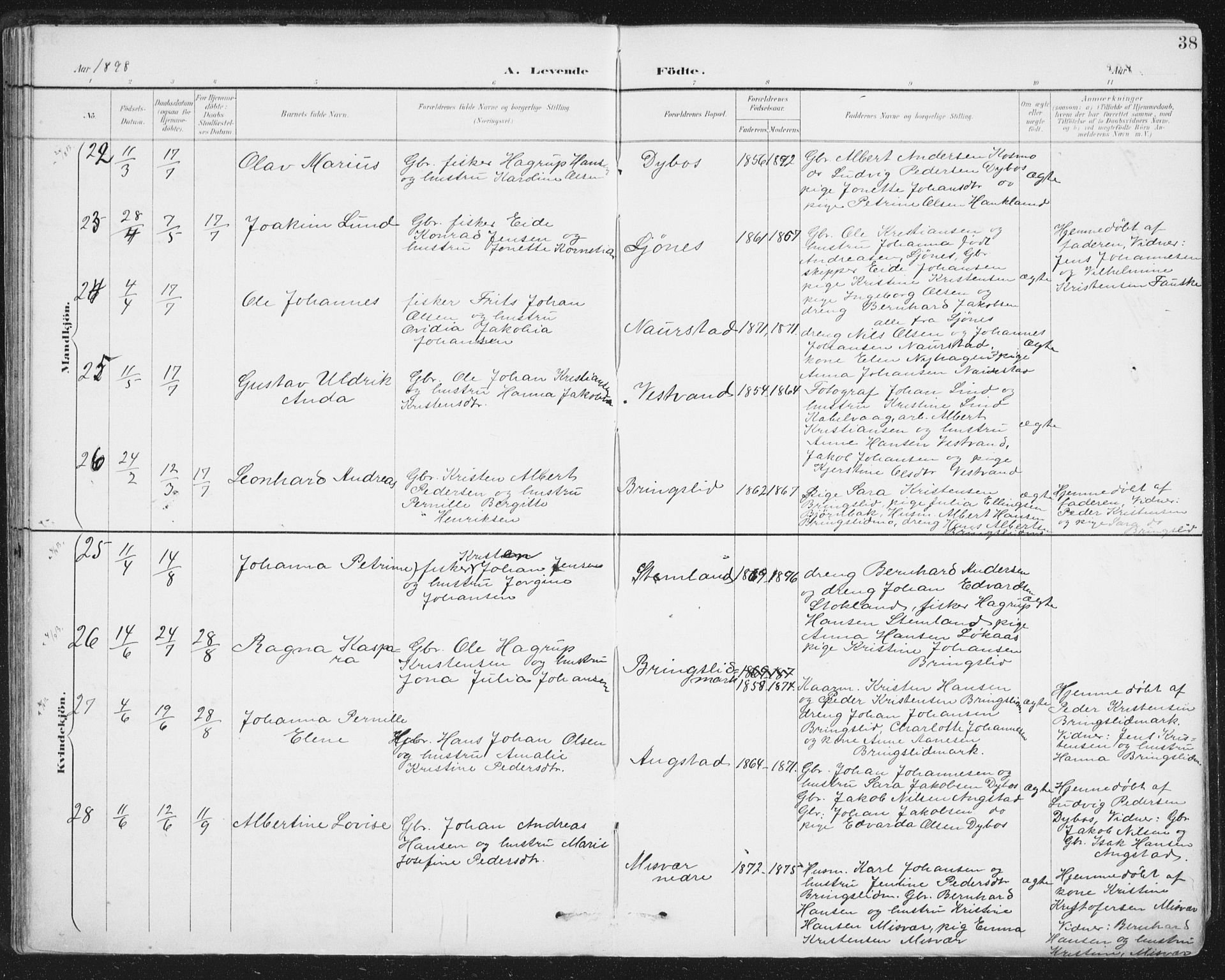 Ministerialprotokoller, klokkerbøker og fødselsregistre - Nordland, AV/SAT-A-1459/852/L0741: Parish register (official) no. 852A11, 1894-1917, p. 38