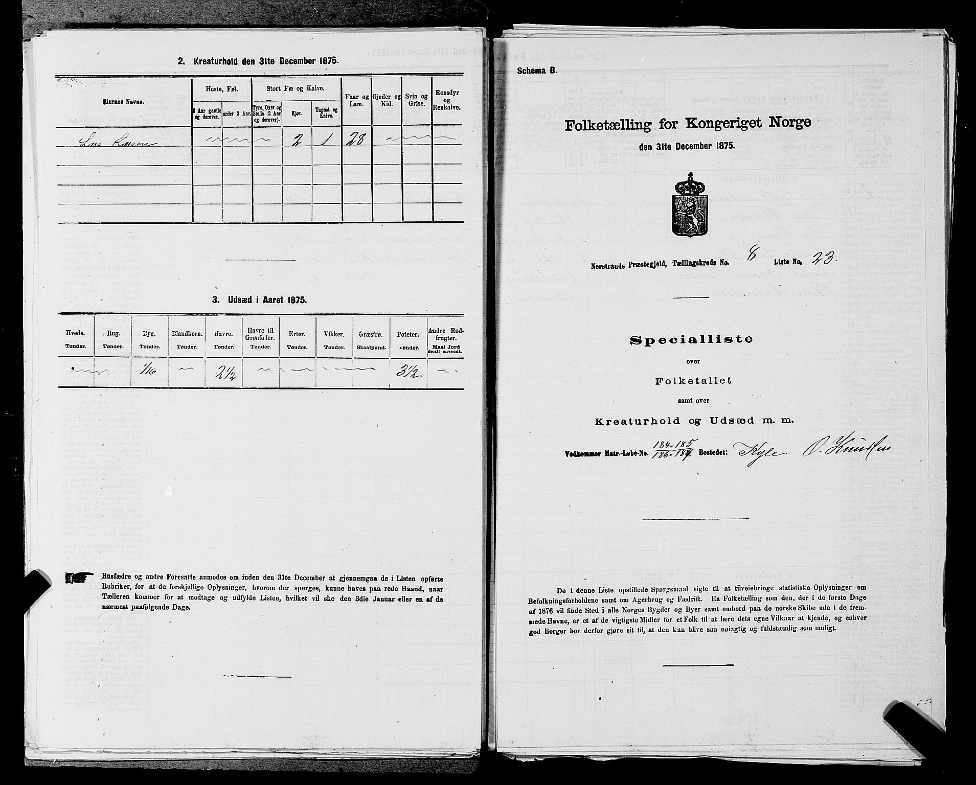 SAST, 1875 census for 1139P Nedstrand, 1875, p. 904