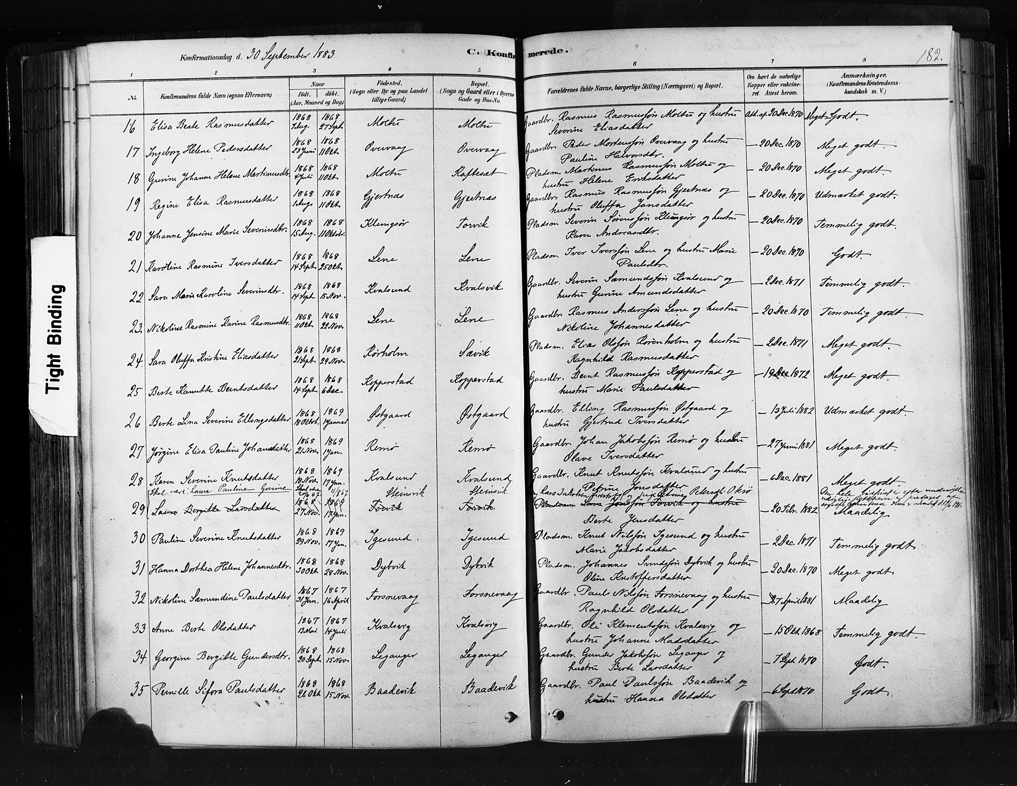 Ministerialprotokoller, klokkerbøker og fødselsregistre - Møre og Romsdal, AV/SAT-A-1454/507/L0073: Parish register (official) no. 507A08, 1878-1904, p. 182