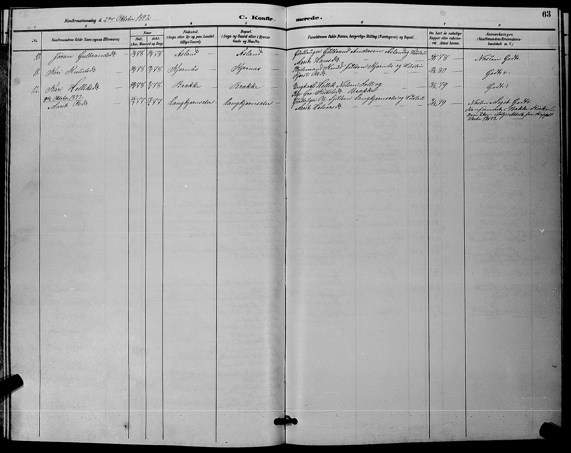 Flesberg kirkebøker, SAKO/A-18/G/Ga/L0004: Parish register (copy) no. I 4 /1, 1890-1898, p. 63