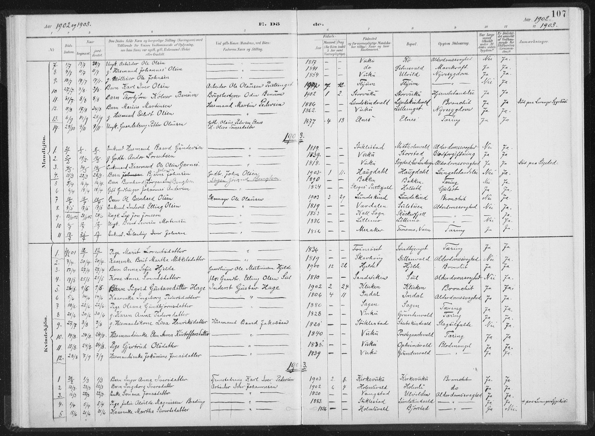Ministerialprotokoller, klokkerbøker og fødselsregistre - Nord-Trøndelag, SAT/A-1458/724/L0263: Parish register (official) no. 724A01, 1891-1907, p. 107