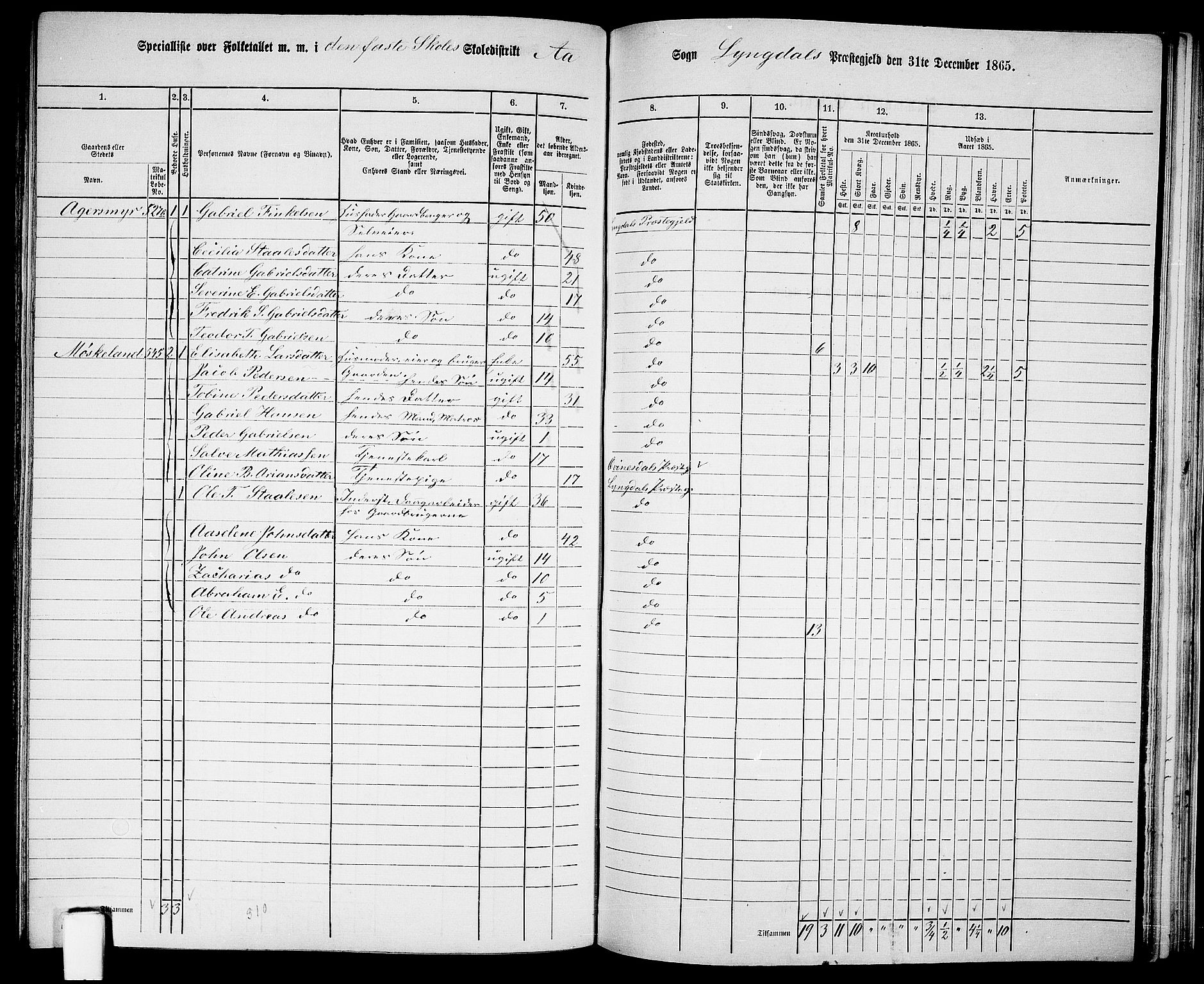 RA, 1865 census for Lyngdal, 1865, p. 207