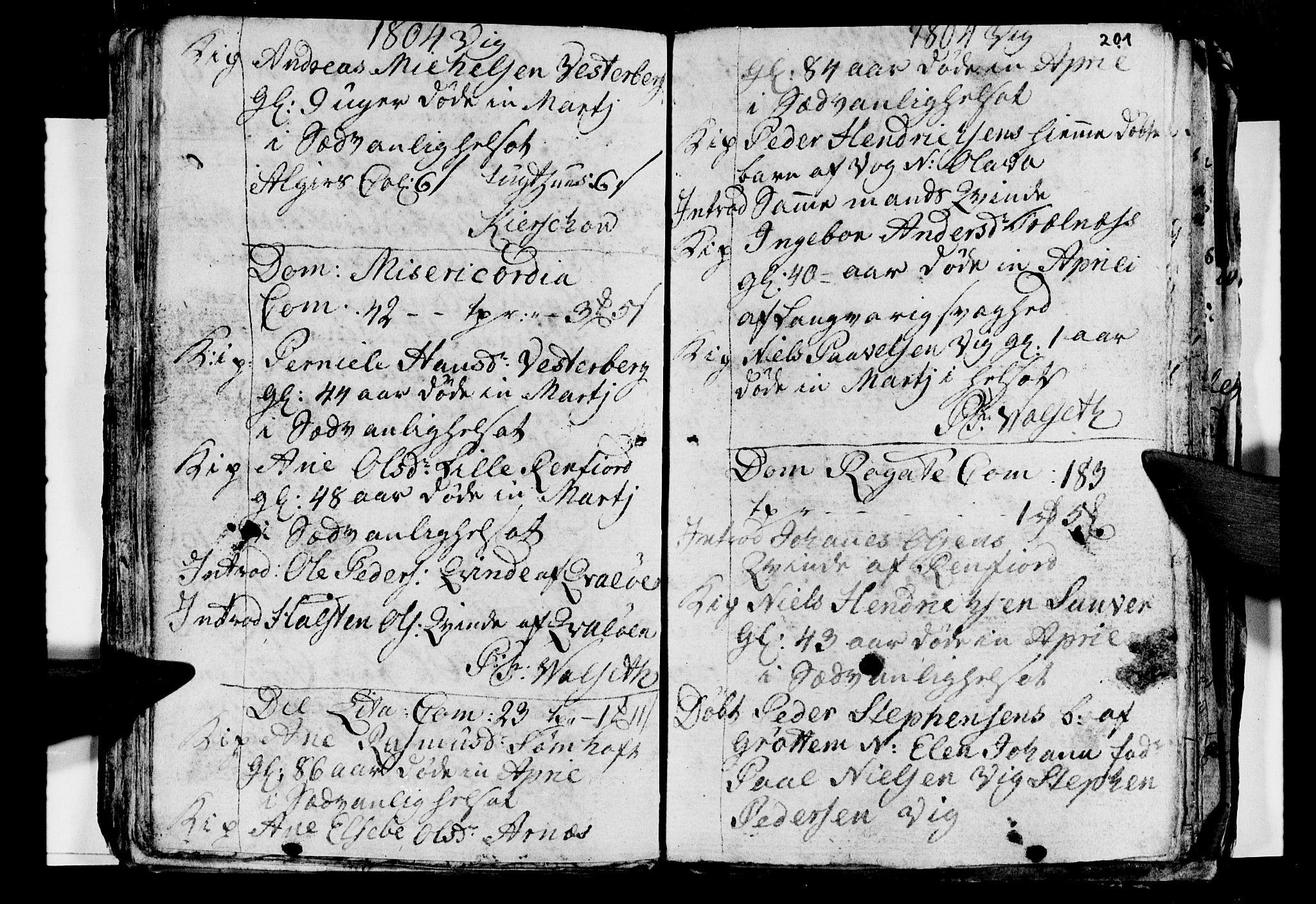 Ministerialprotokoller, klokkerbøker og fødselsregistre - Nordland, AV/SAT-A-1459/812/L0184: Parish register (copy) no. 812C02, 1793-1809, p. 201