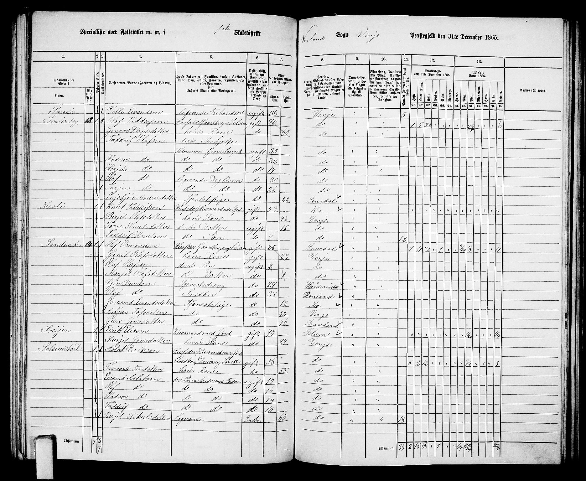 RA, 1865 census for Vinje, 1865, p. 13