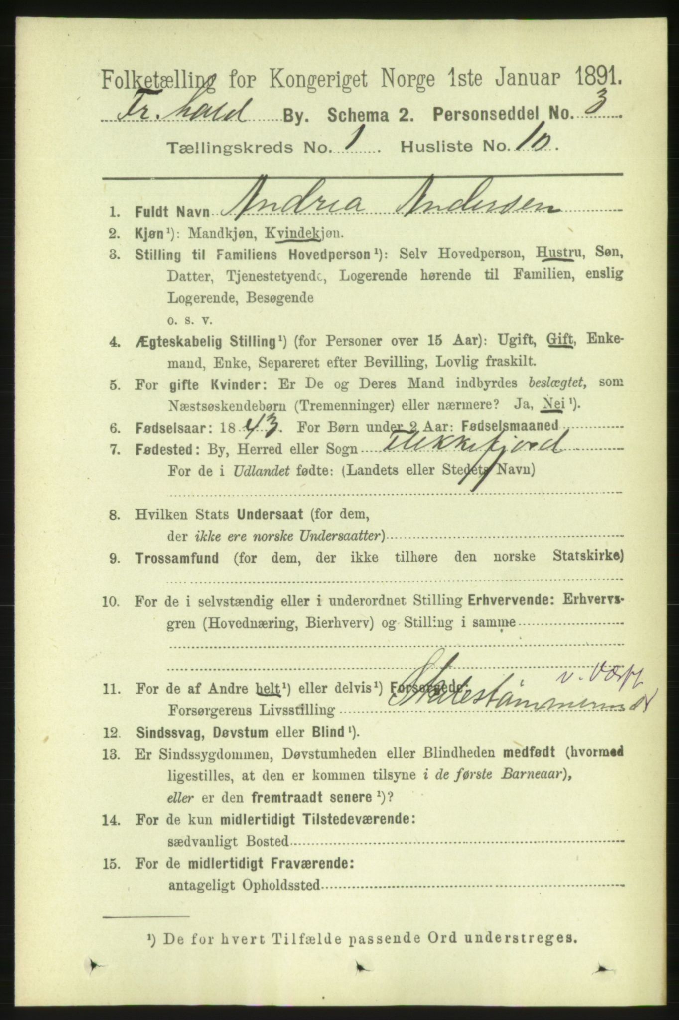 RA, 1891 census for 0101 Fredrikshald, 1891, p. 2005