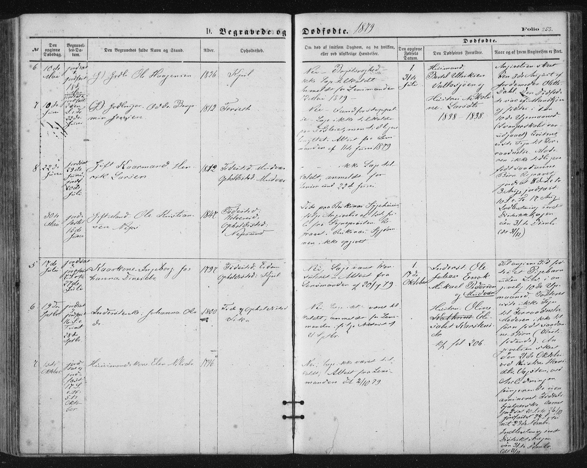 Ministerialprotokoller, klokkerbøker og fødselsregistre - Nordland, AV/SAT-A-1459/816/L0241: Parish register (official) no. 816A07, 1870-1885, p. 253