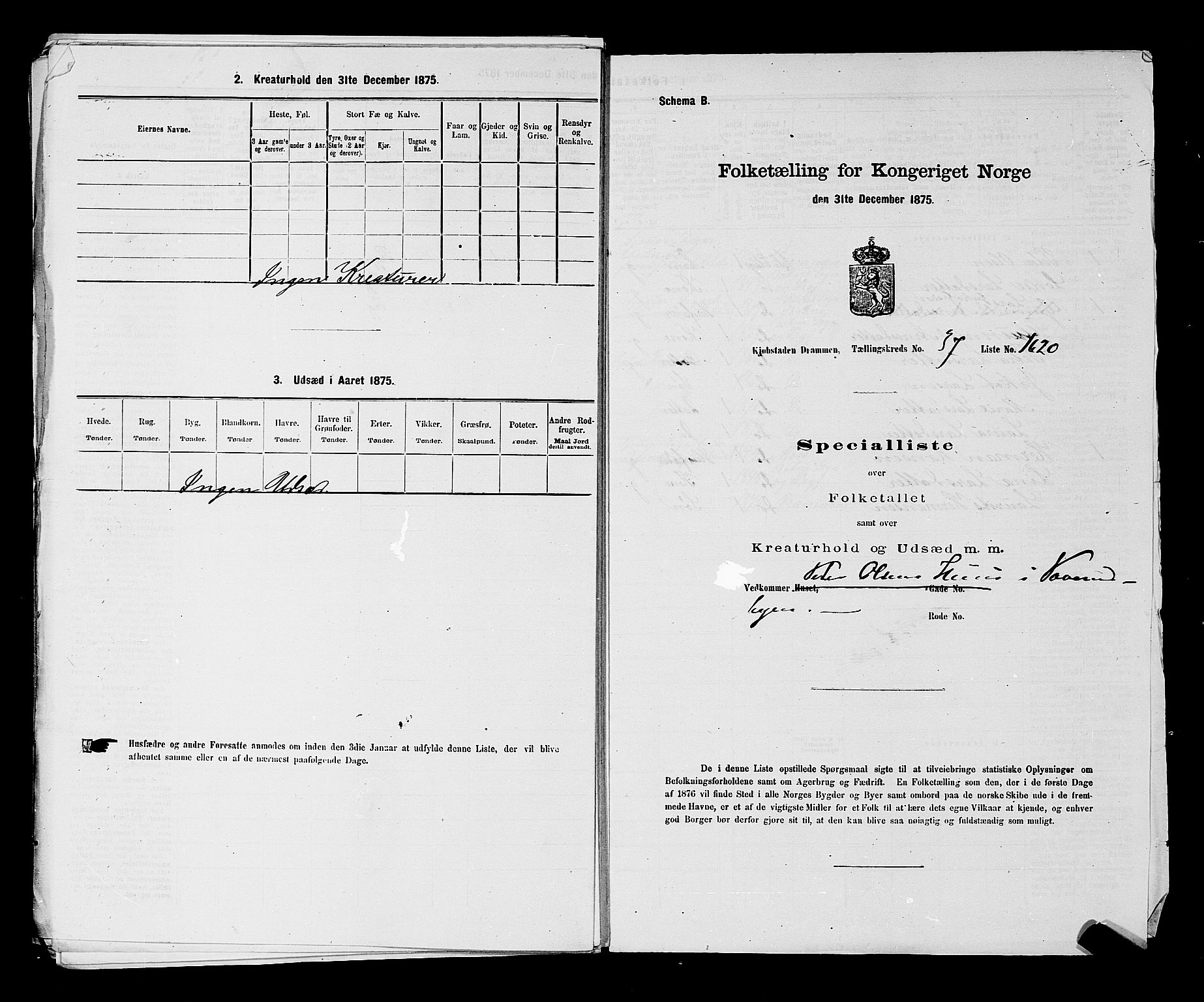 SAKO, 1875 census for 0602 Drammen, 1875, p. 3232