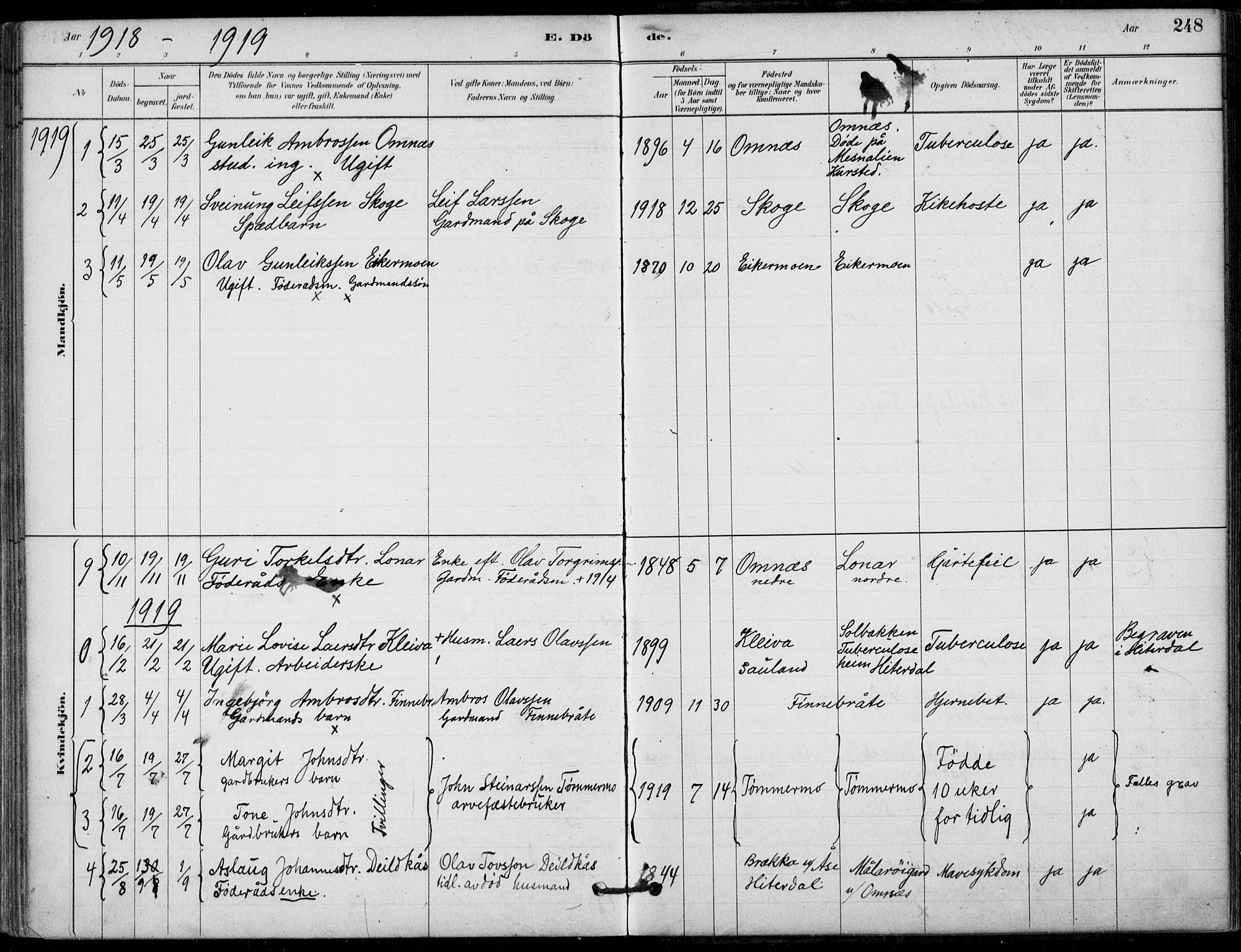 Hjartdal kirkebøker, SAKO/A-270/F/Fb/L0002: Parish register (official) no. II 2, 1880-1932, p. 248