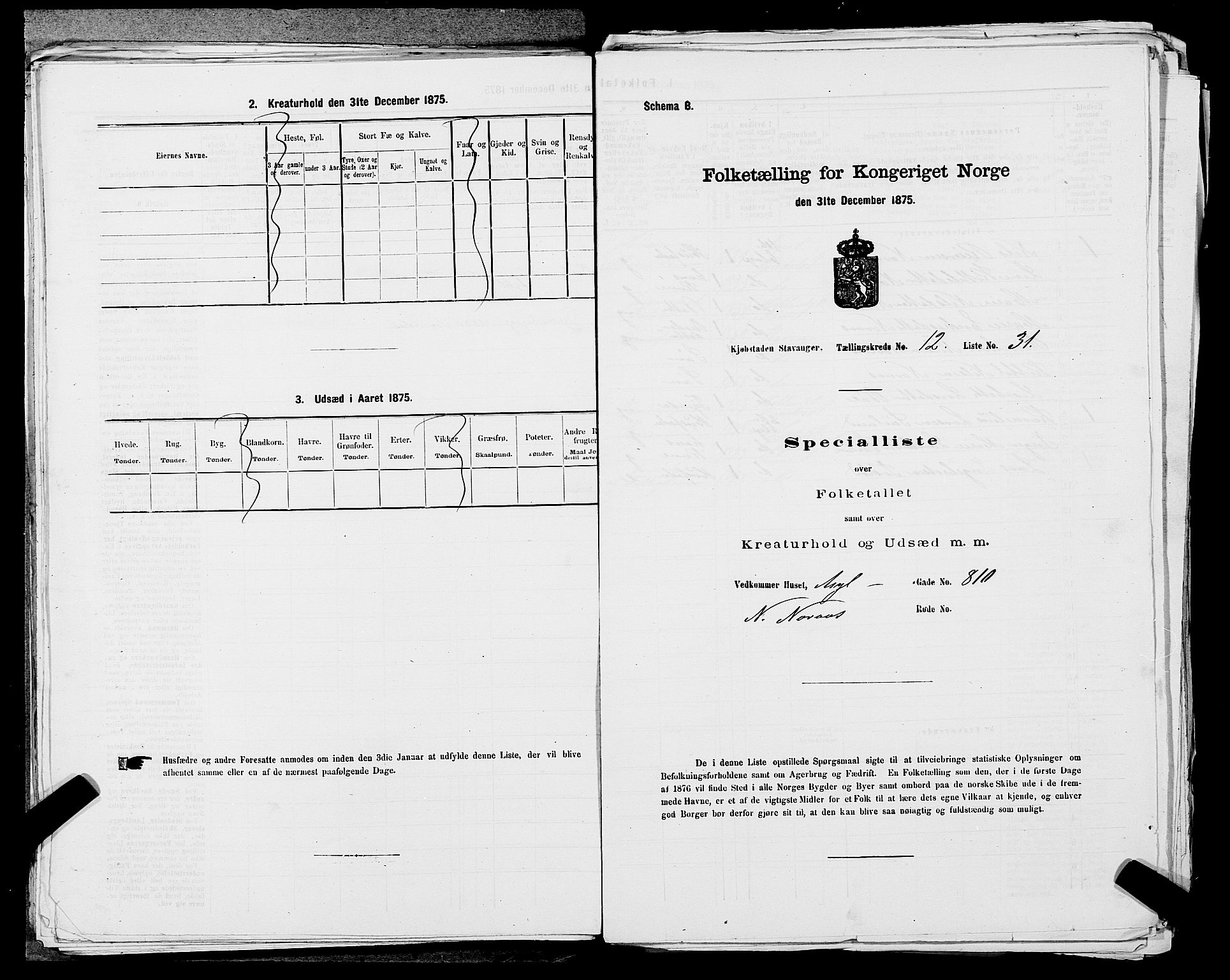 SAST, 1875 census for 1103 Stavanger, 1875, p. 2342