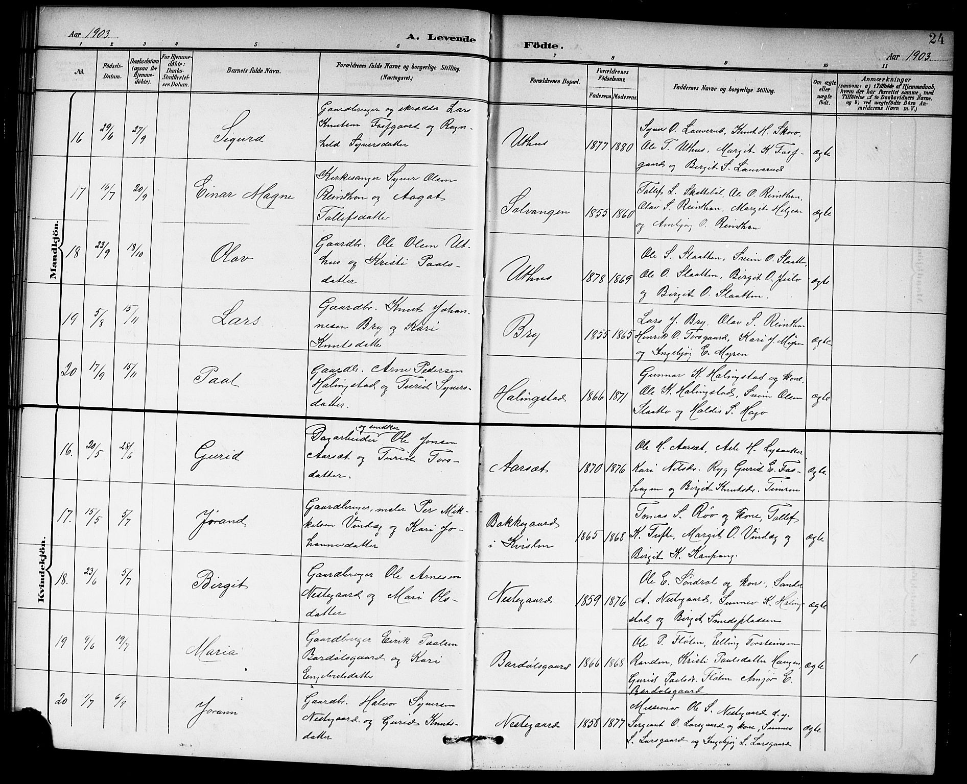 Hol kirkebøker, AV/SAKO-A-227/G/Ga/L0001: Parish register (copy) no. I 1, 1900-1919, p. 24