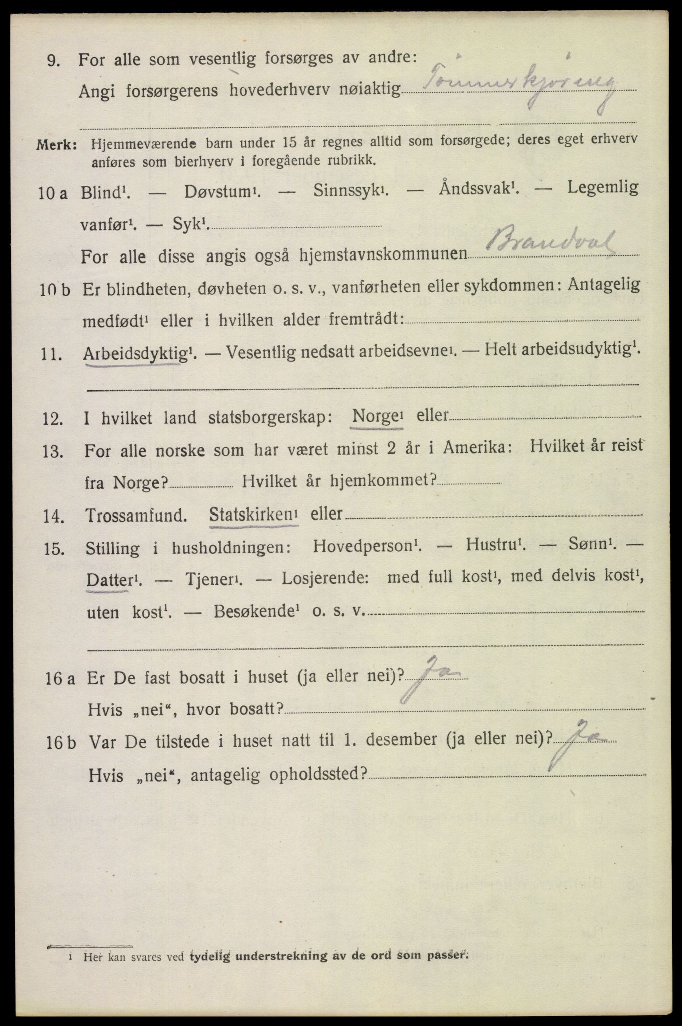 SAH, 1920 census for Brandval, 1920, p. 4251