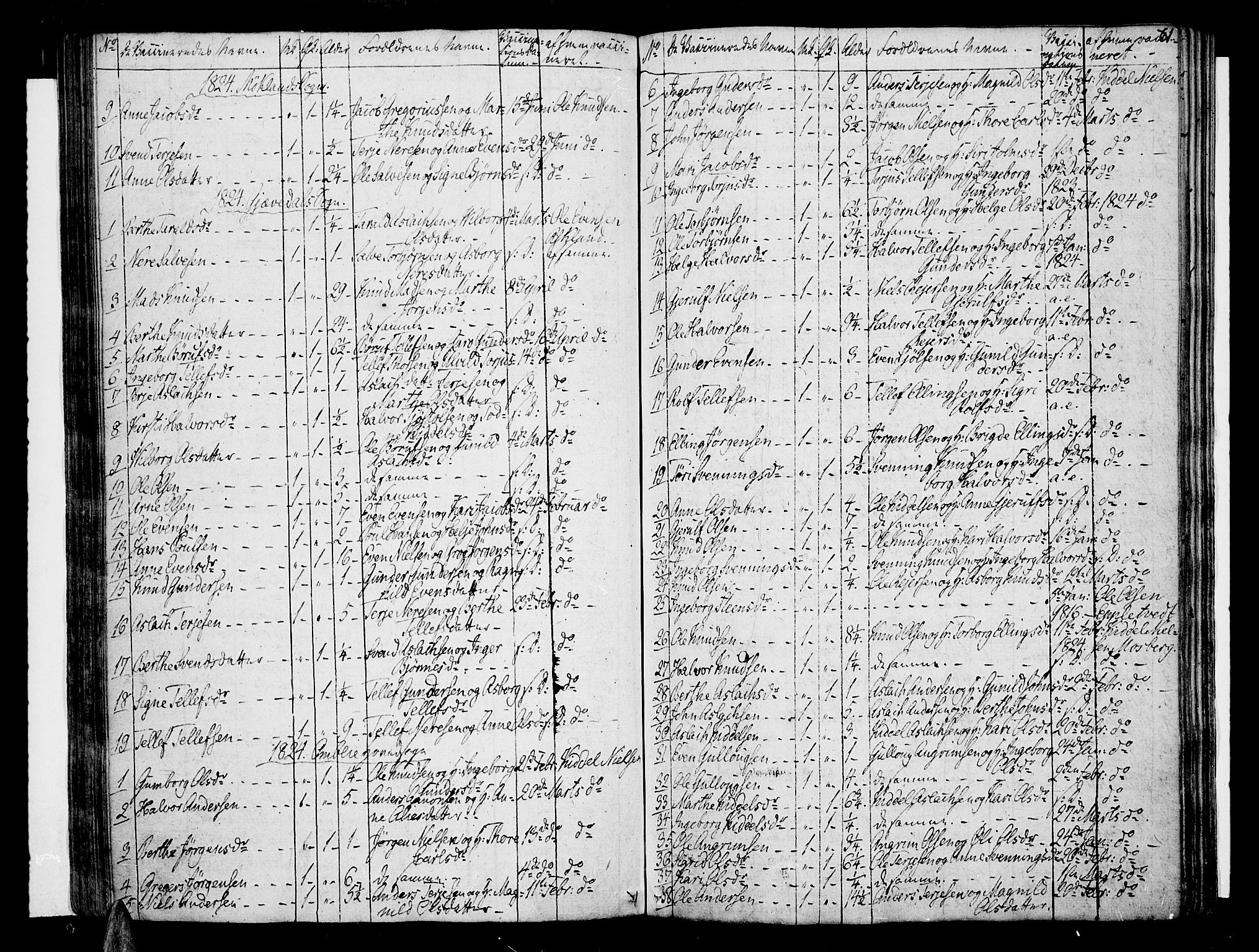 Åmli sokneprestkontor, AV/SAK-1111-0050/F/Fa/Fac/L0005: Parish register (official) no. A 5, 1796-1816, p. 61