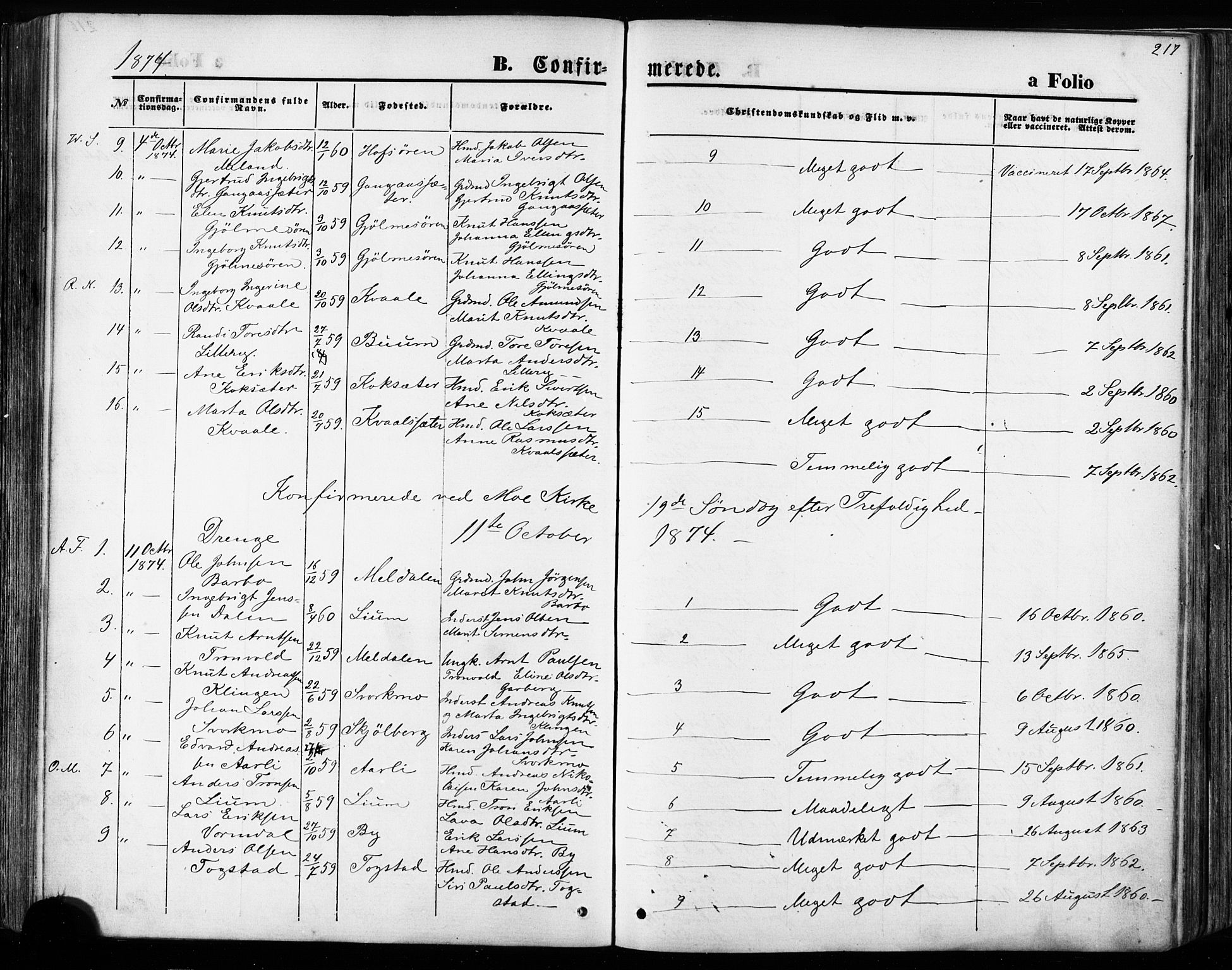 Ministerialprotokoller, klokkerbøker og fødselsregistre - Sør-Trøndelag, AV/SAT-A-1456/668/L0807: Parish register (official) no. 668A07, 1870-1880, p. 217