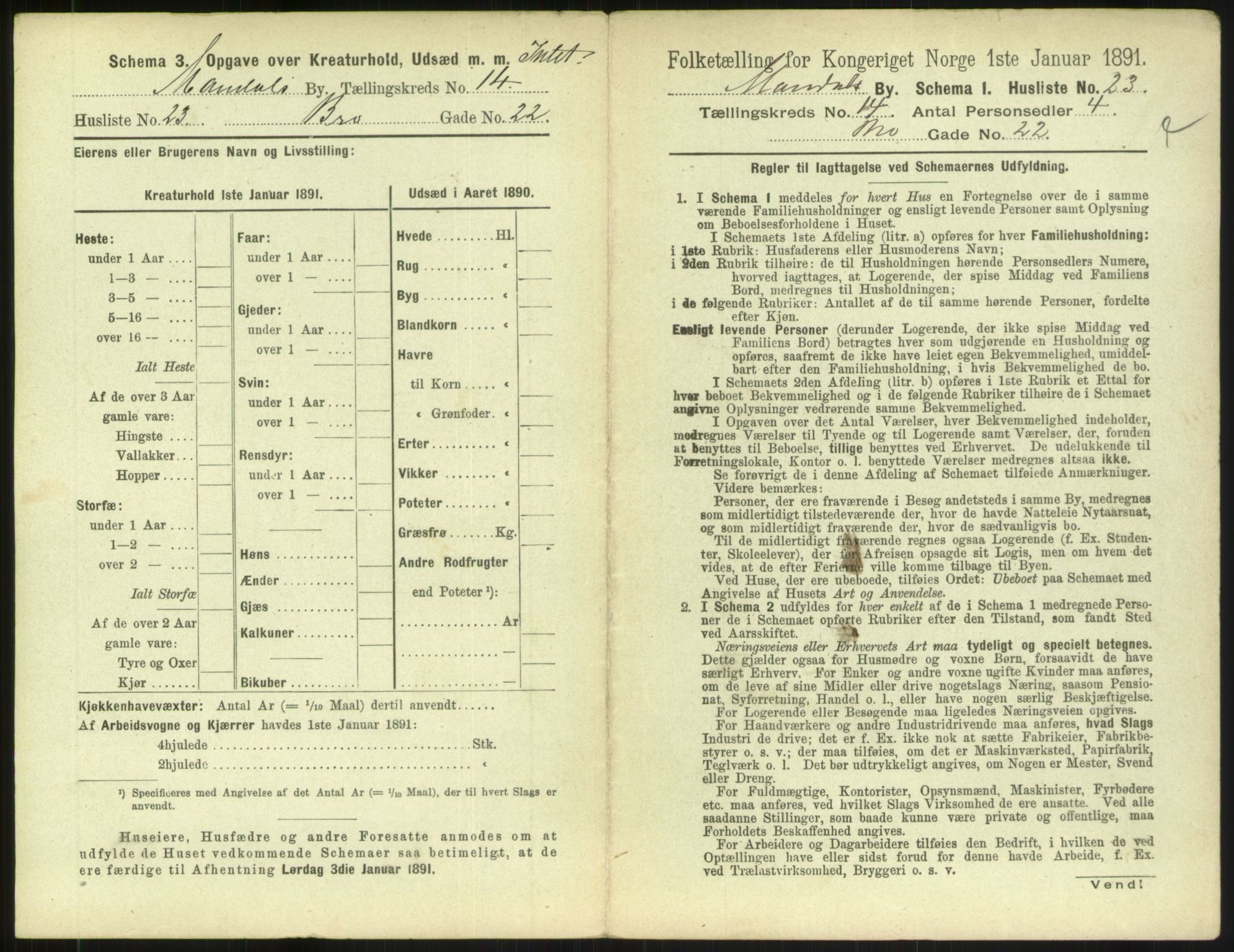 RA, 1891 census for 1002 Mandal, 1891, p. 685