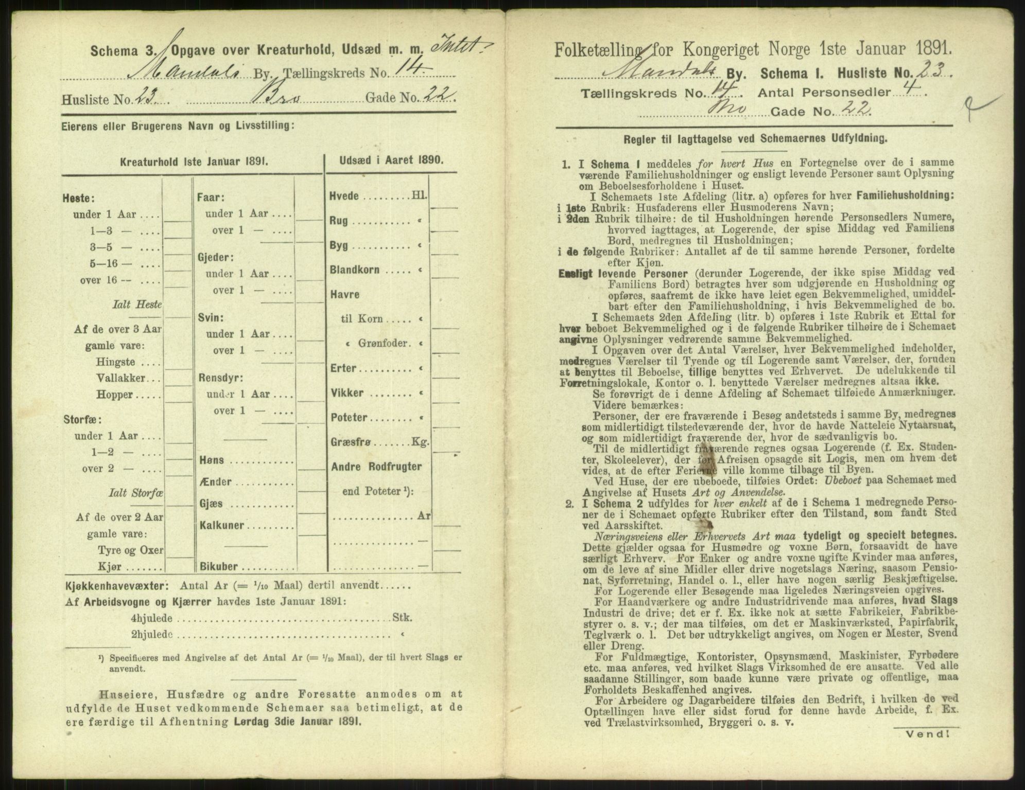 RA, 1891 census for 1002 Mandal, 1891, p. 685