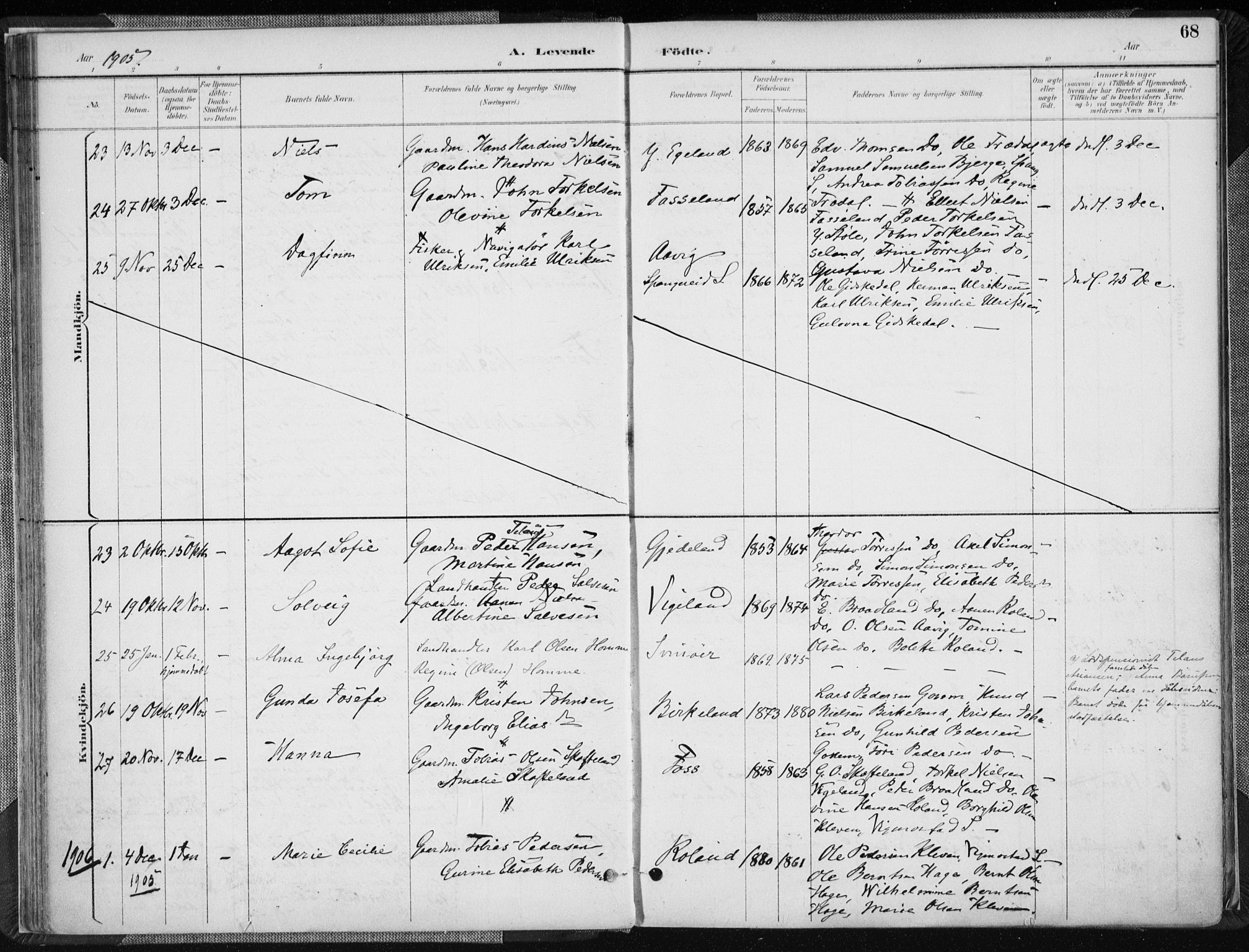 Sør-Audnedal sokneprestkontor, AV/SAK-1111-0039/F/Fa/Fab/L0010: Parish register (official) no. A 10, 1892-1913, p. 68