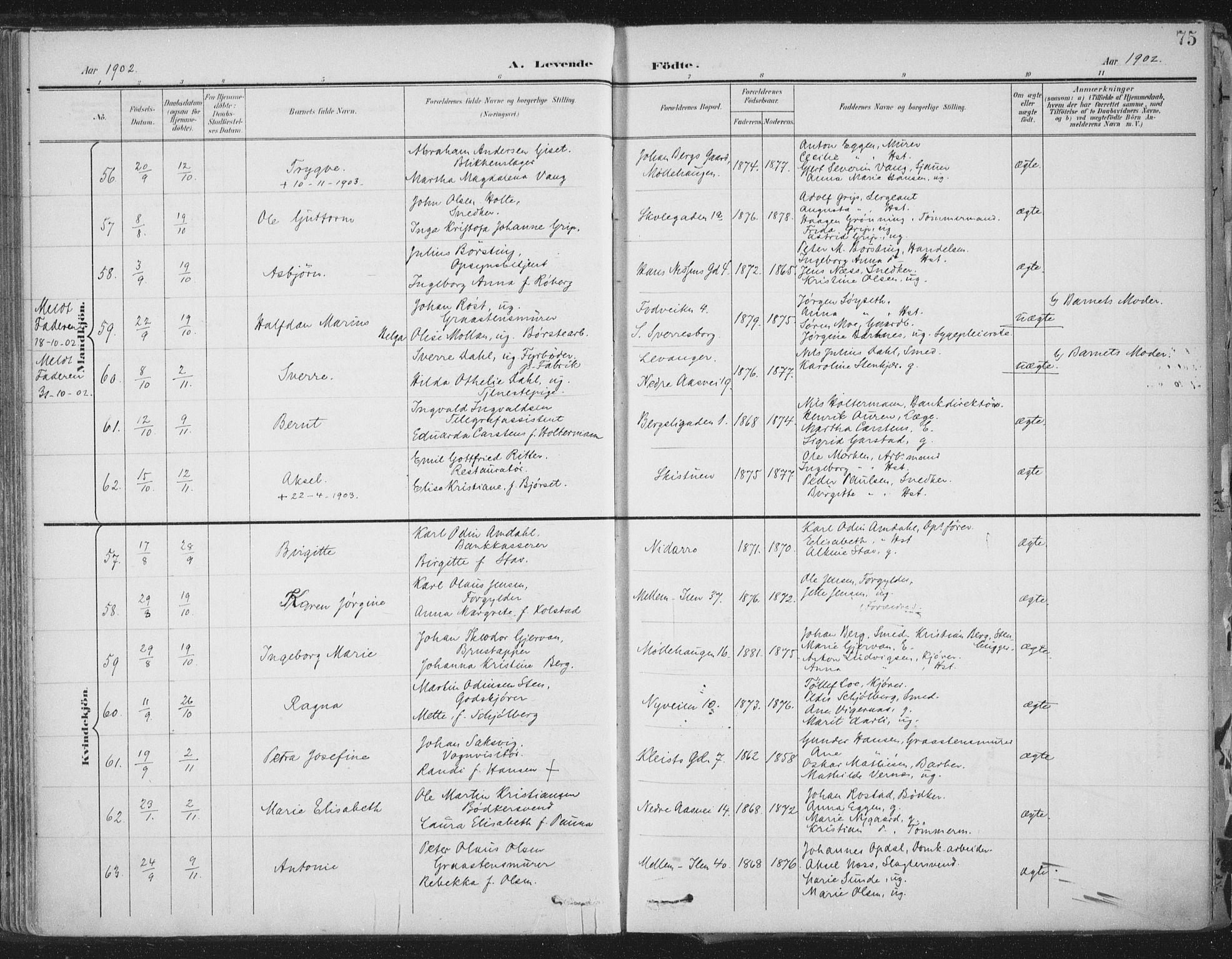Ministerialprotokoller, klokkerbøker og fødselsregistre - Sør-Trøndelag, SAT/A-1456/603/L0167: Parish register (official) no. 603A06, 1896-1932, p. 75