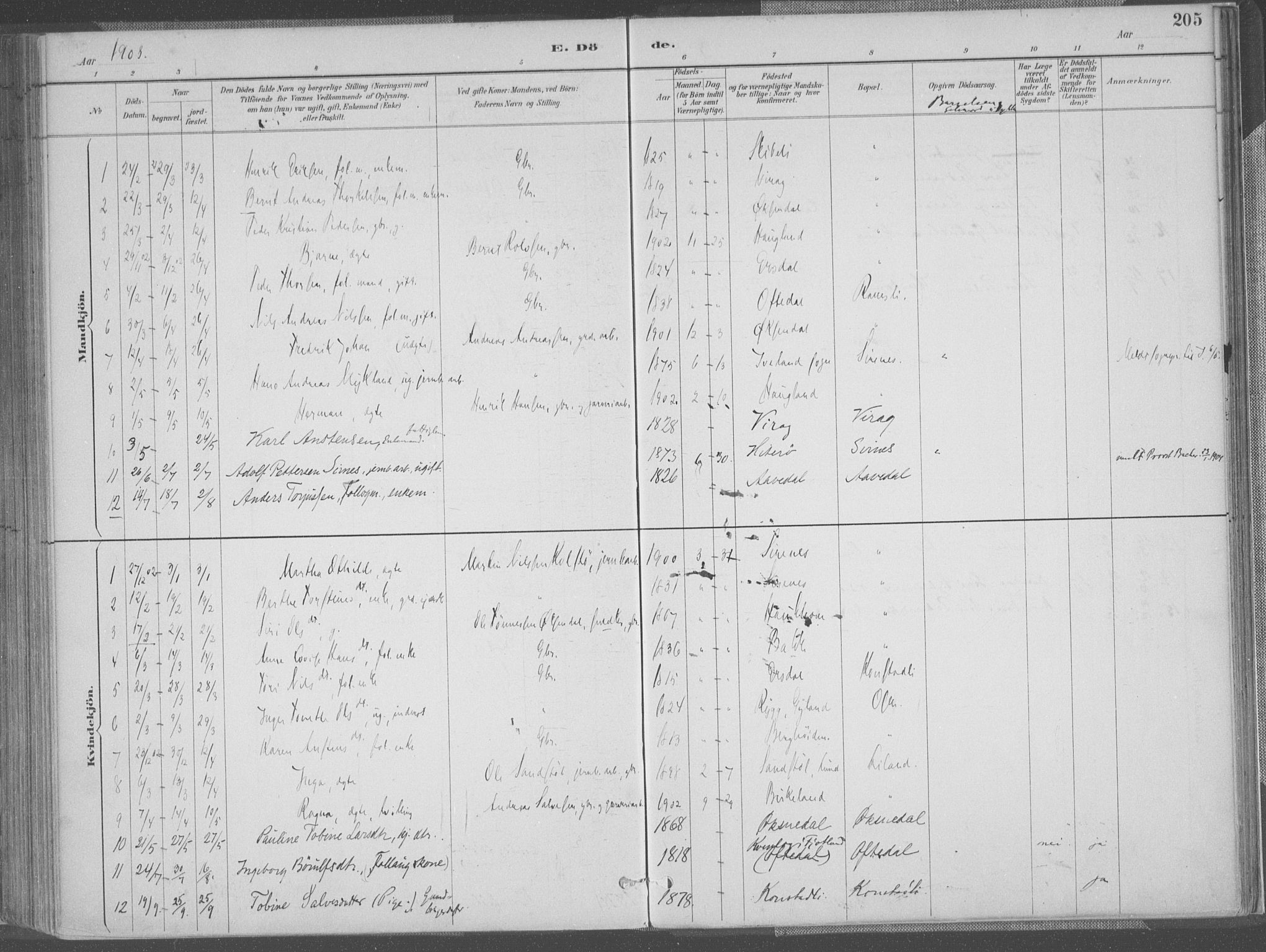 Bakke sokneprestkontor, SAK/1111-0002/F/Fa/Faa/L0008: Parish register (official) no. A 8, 1887-1911, p. 205