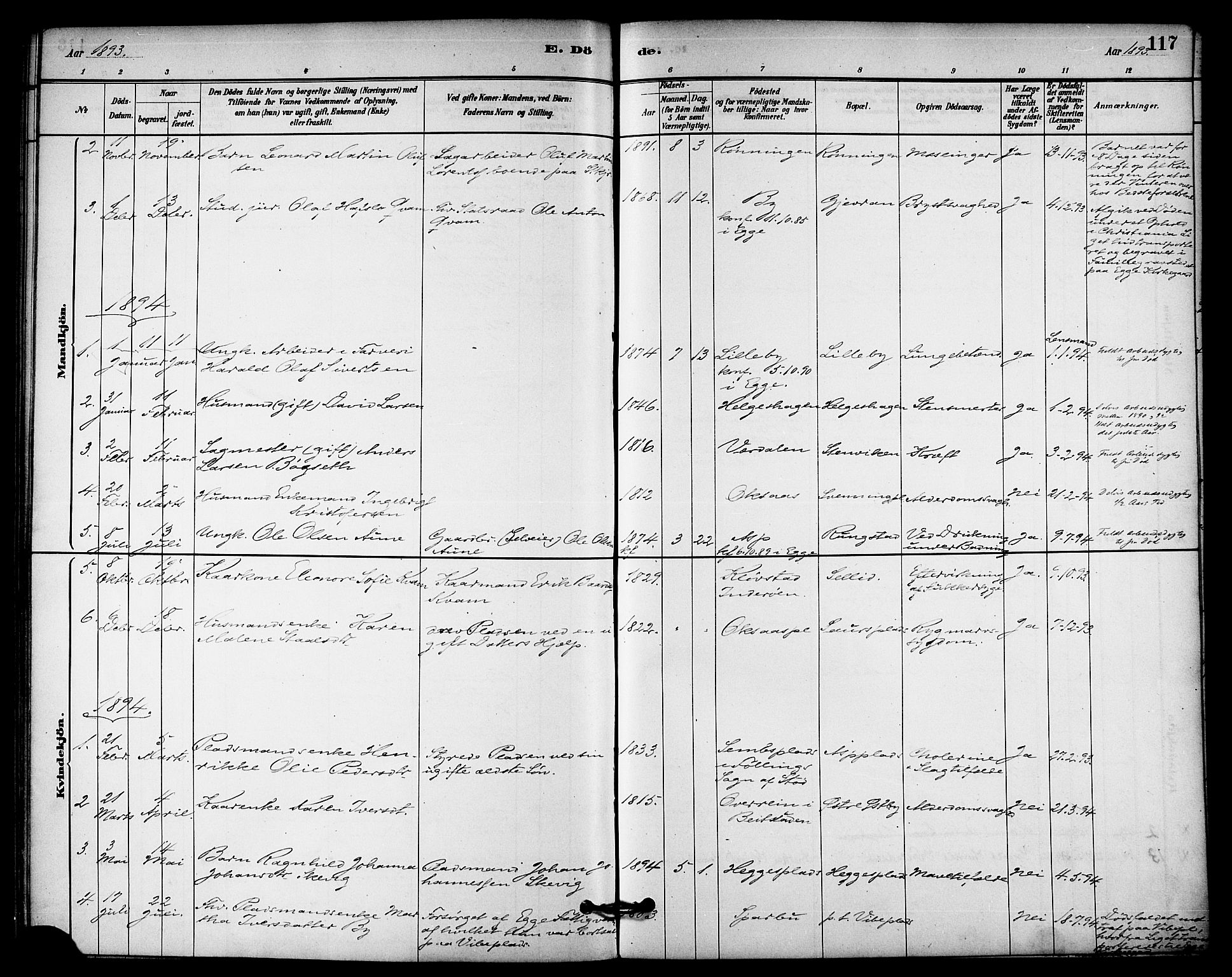 Ministerialprotokoller, klokkerbøker og fødselsregistre - Nord-Trøndelag, SAT/A-1458/740/L0378: Parish register (official) no. 740A01, 1881-1895, p. 117