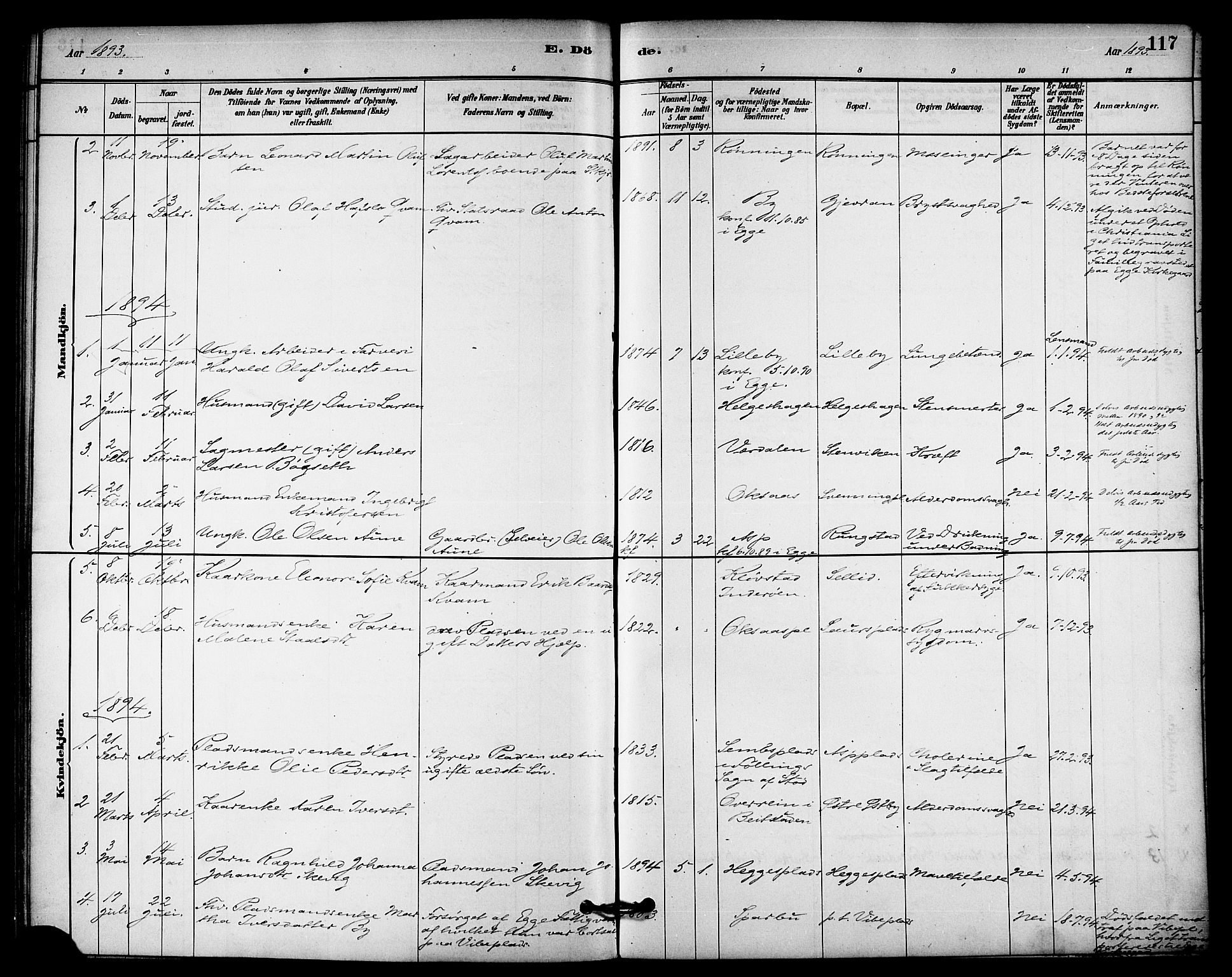 Ministerialprotokoller, klokkerbøker og fødselsregistre - Nord-Trøndelag, AV/SAT-A-1458/740/L0378: Parish register (official) no. 740A01, 1881-1895, p. 117