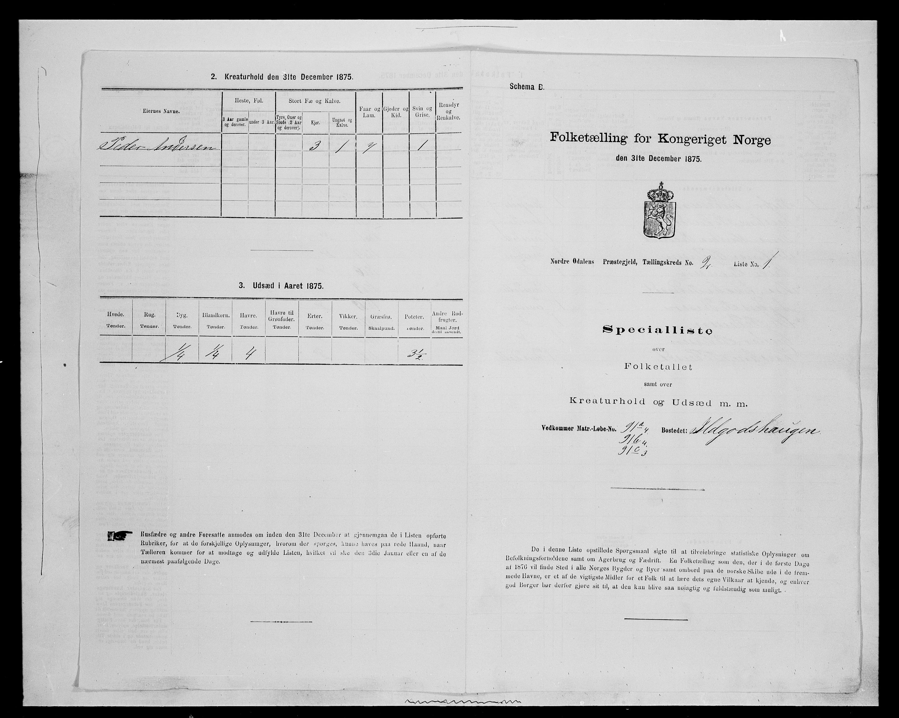 SAH, 1875 census for 0418P Nord-Odal, 1875, p. 216