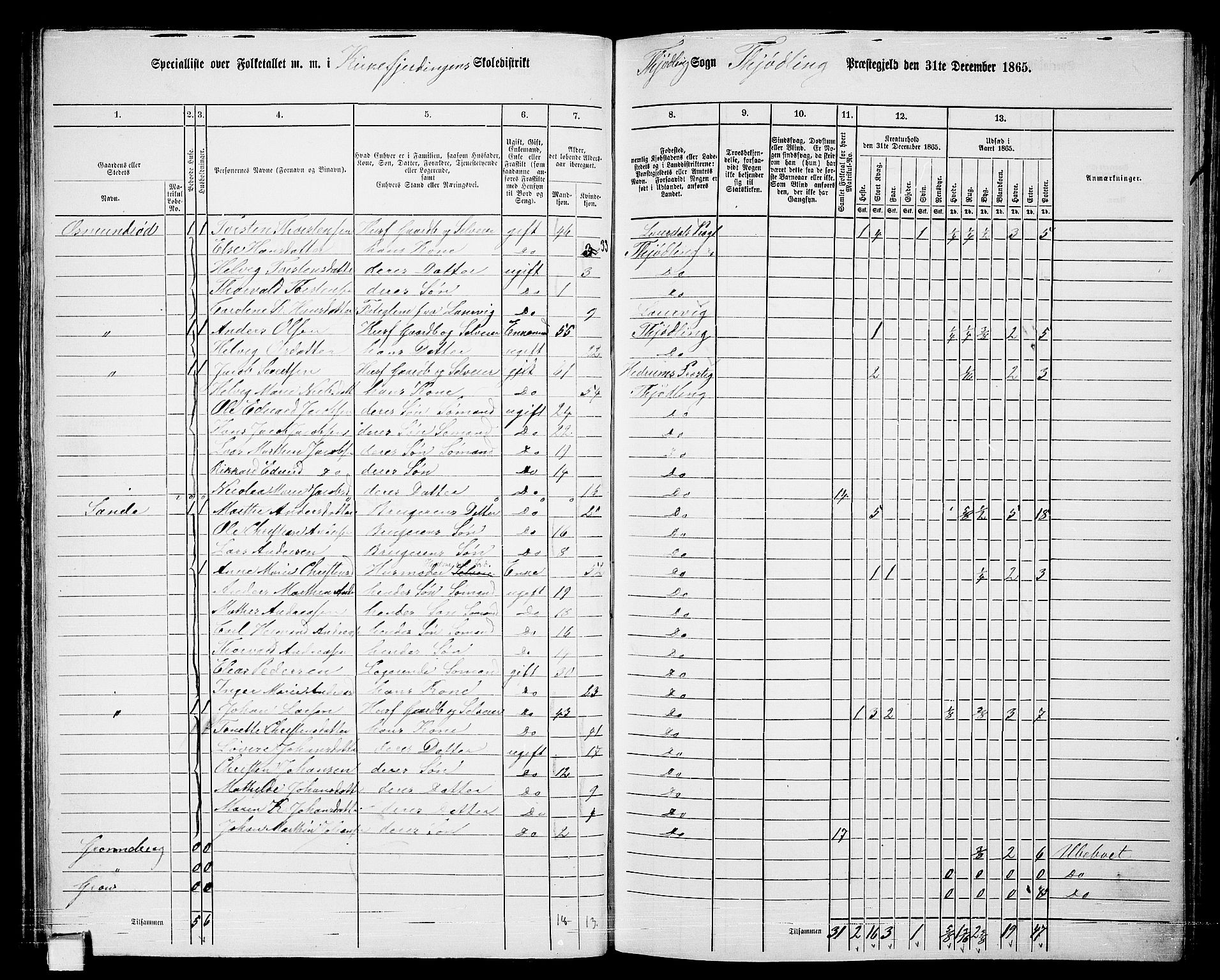 RA, 1865 census for Tjølling, 1865, p. 55