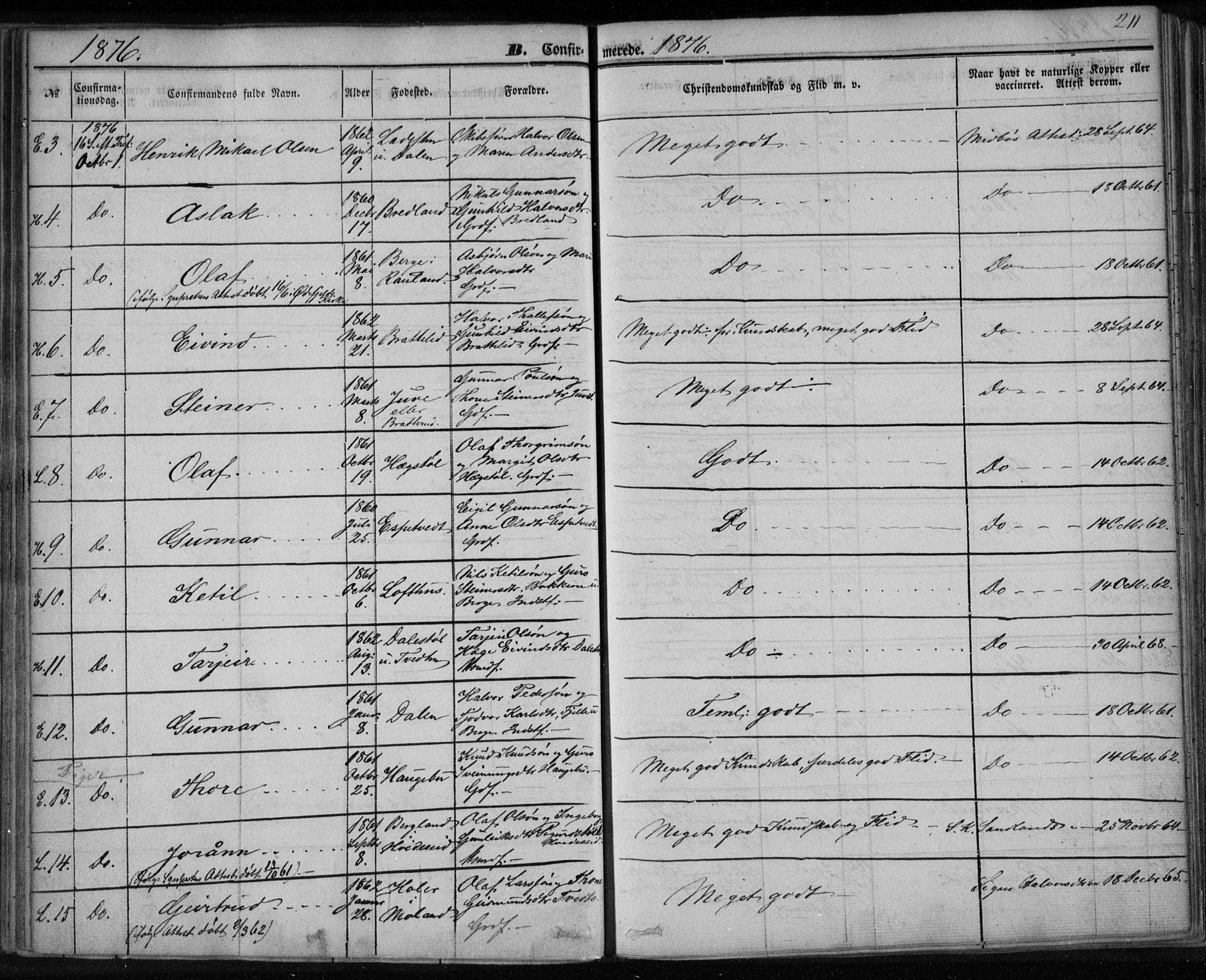 Lårdal kirkebøker, SAKO/A-284/F/Fa/L0006: Parish register (official) no. I 6, 1861-1886, p. 211