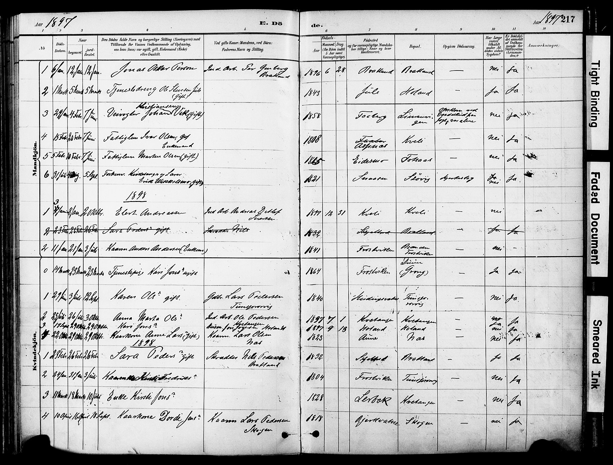 Ministerialprotokoller, klokkerbøker og fødselsregistre - Nord-Trøndelag, SAT/A-1458/755/L0494: Parish register (official) no. 755A03, 1882-1902, p. 217