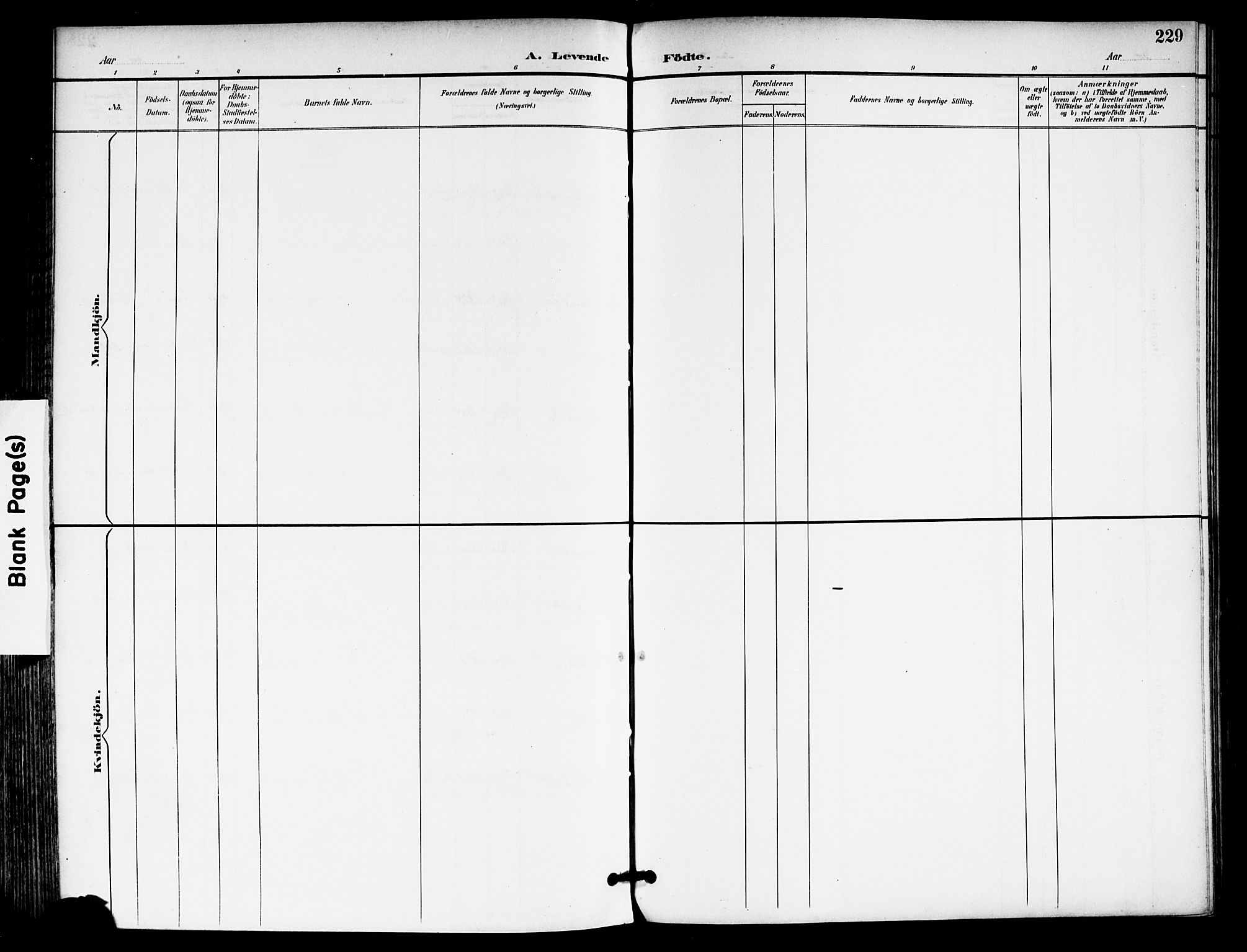 Moss prestekontor Kirkebøker, SAO/A-2003/F/Fb/L0003: Parish register (official) no. II 3, 1894-1901, p. 229