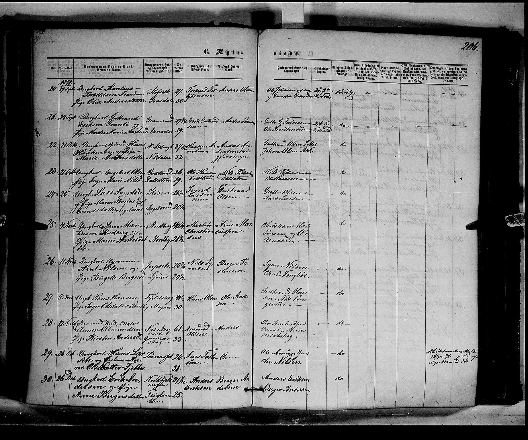 Eidskog prestekontor, AV/SAH-PREST-026/H/Ha/Haa/L0002: Parish register (official) no. 2, 1867-1878, p. 206