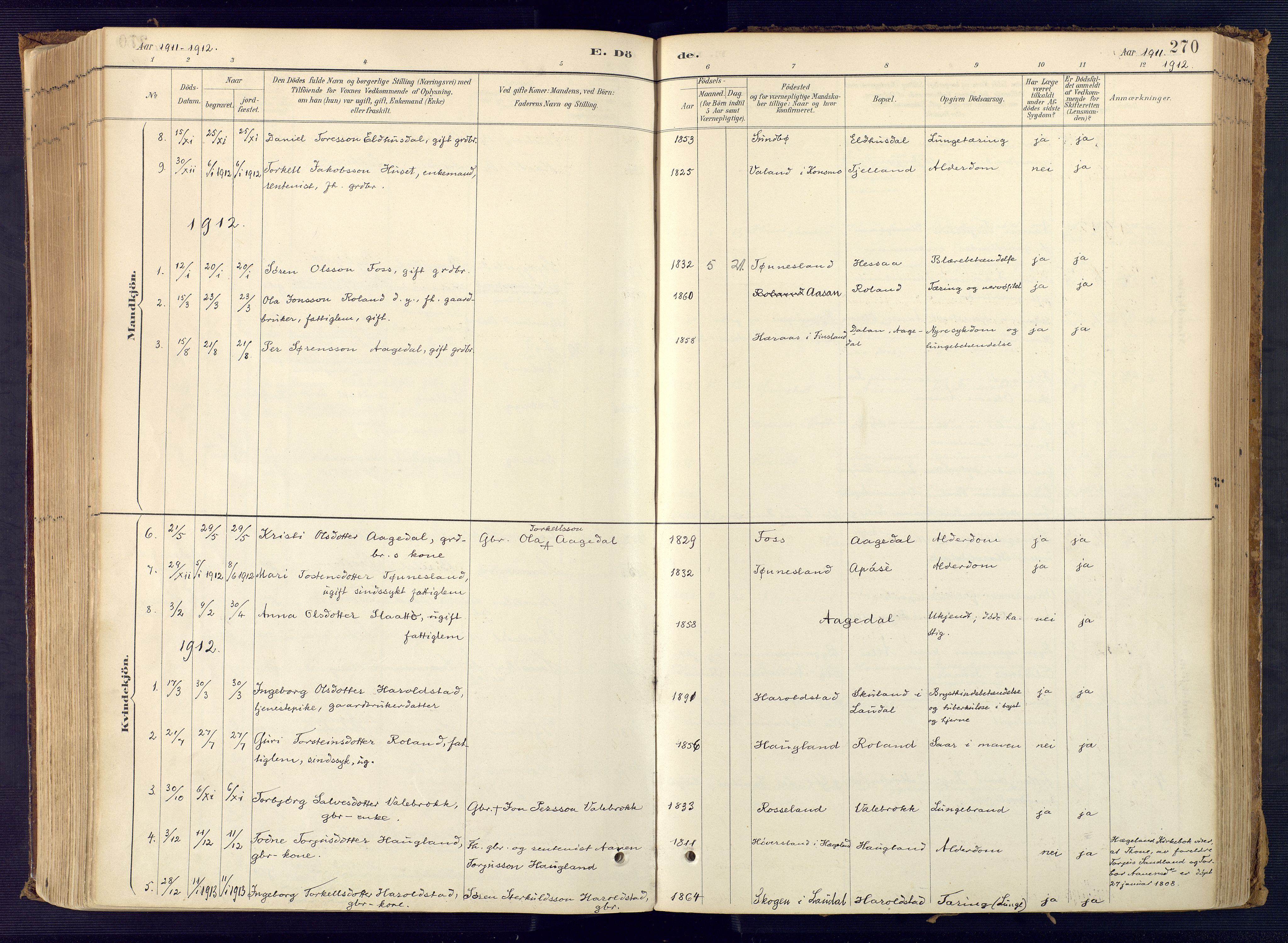 Bjelland sokneprestkontor, AV/SAK-1111-0005/F/Fa/Faa/L0004: Parish register (official) no. A 4, 1887-1923, p. 270