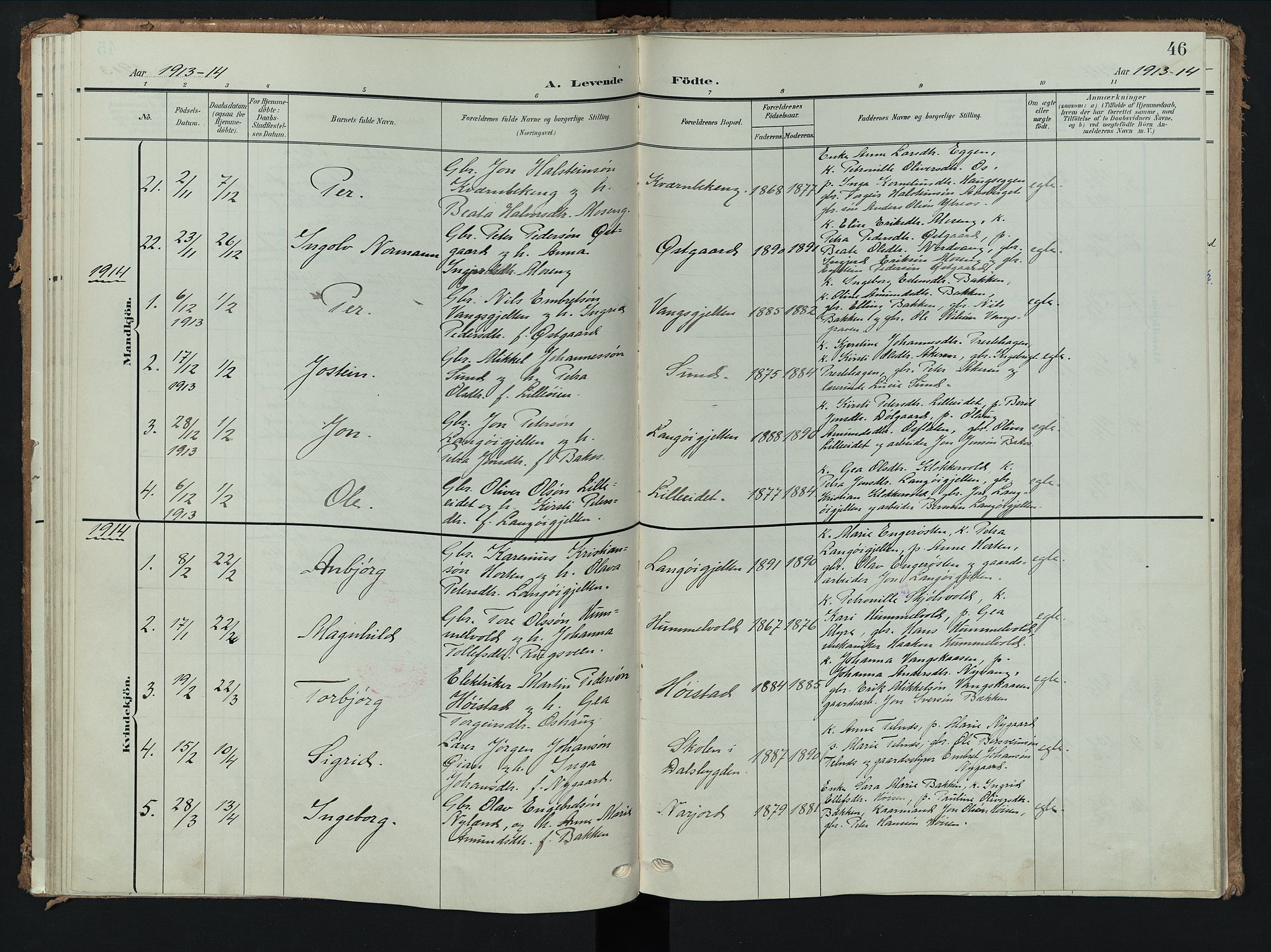 Tolga prestekontor, AV/SAH-PREST-062/K/L0009: Parish register (official) no. 9, 1903-1928, p. 46