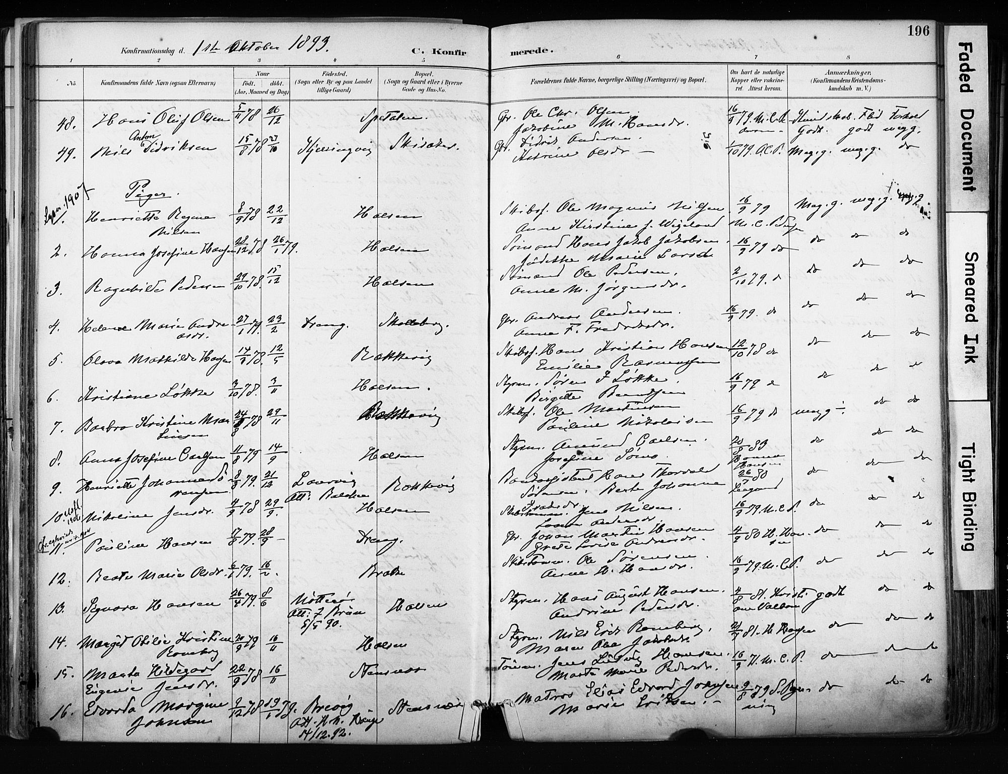 Tjølling kirkebøker, AV/SAKO-A-60/F/Fa/L0009: Parish register (official) no. 9, 1887-1905, p. 196