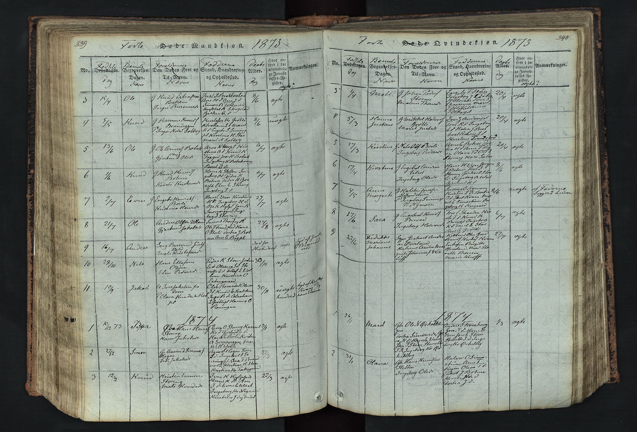 Kvikne prestekontor, SAH/PREST-064/H/Ha/Hab/L0001: Parish register (copy) no. 1, 1815-1895, p. 339-340