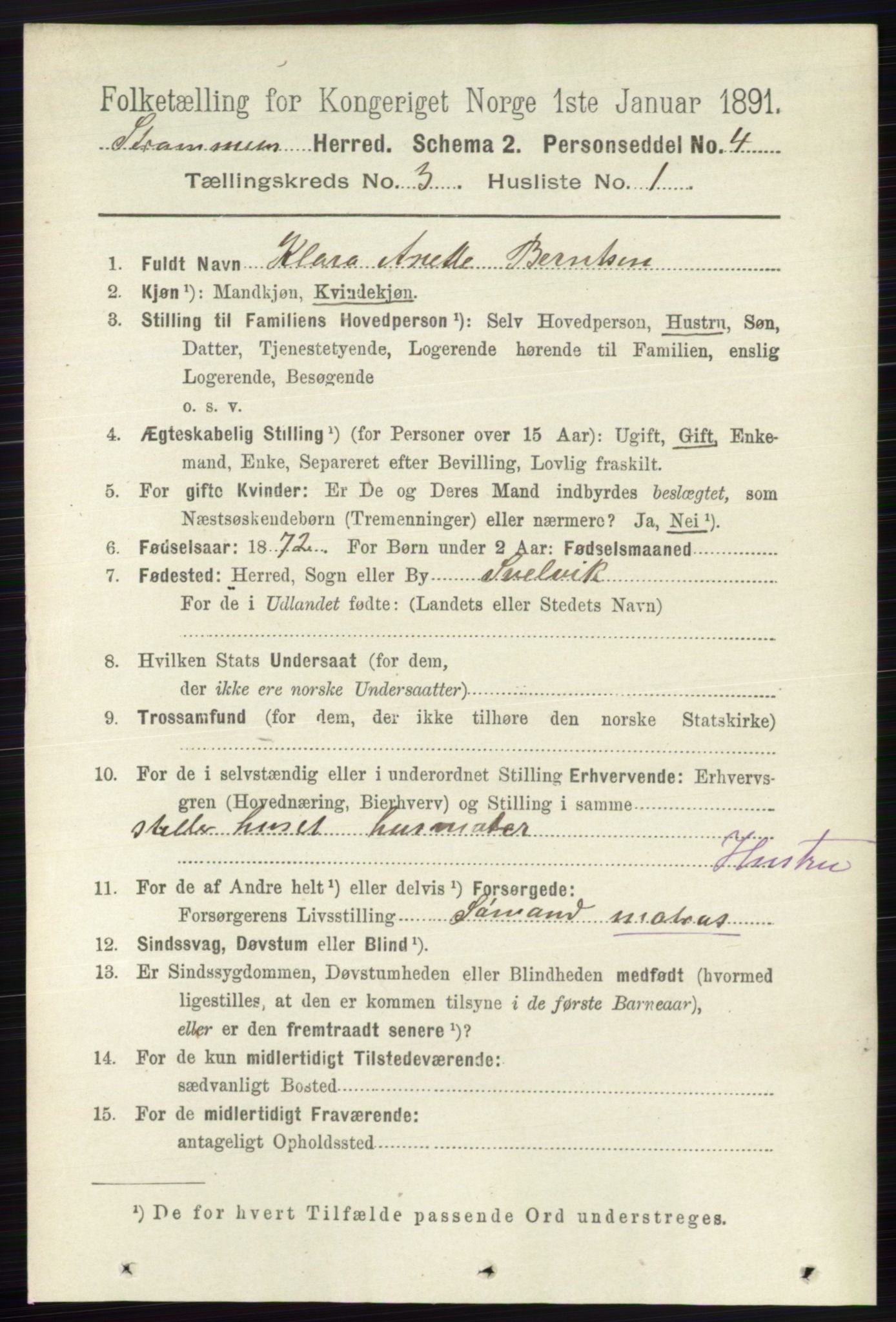 RA, 1891 census for 0711 Strømm, 1891, p. 1076