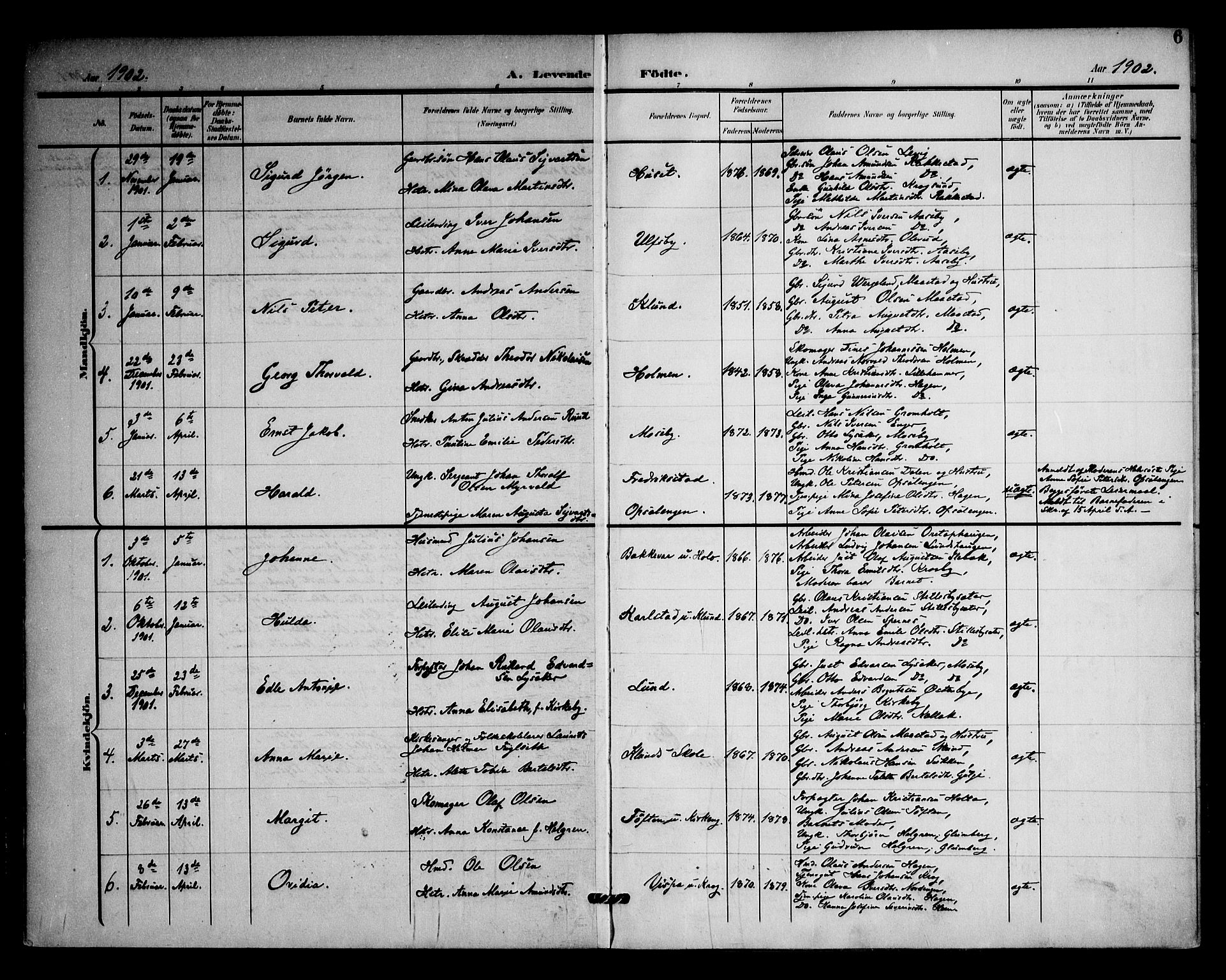 Rødenes prestekontor Kirkebøker, SAO/A-2005/F/Fa/L0011: Parish register (official) no. I 11, 1901-1910, p. 6
