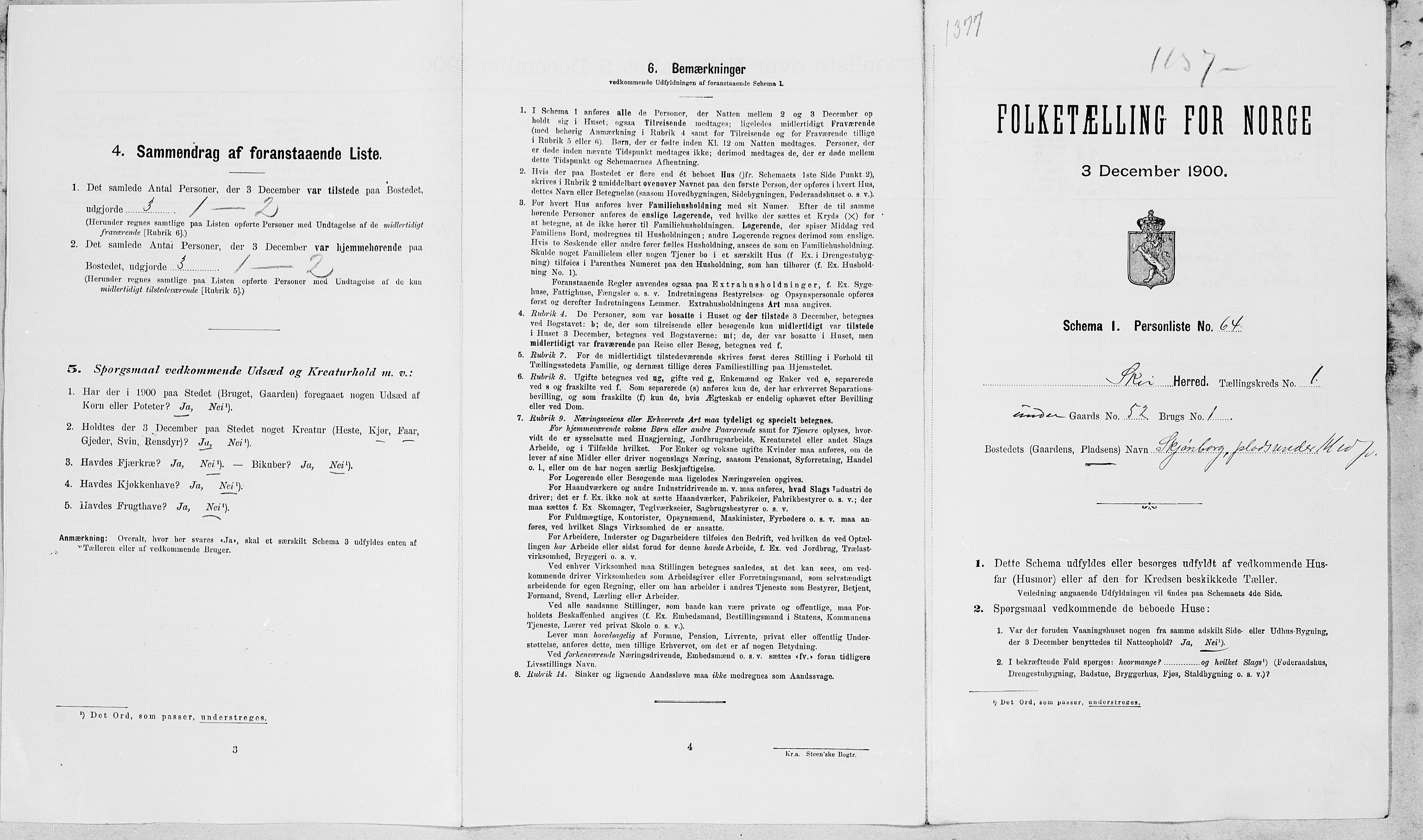 SAT, 1900 census for Skei, 1900, p. 20