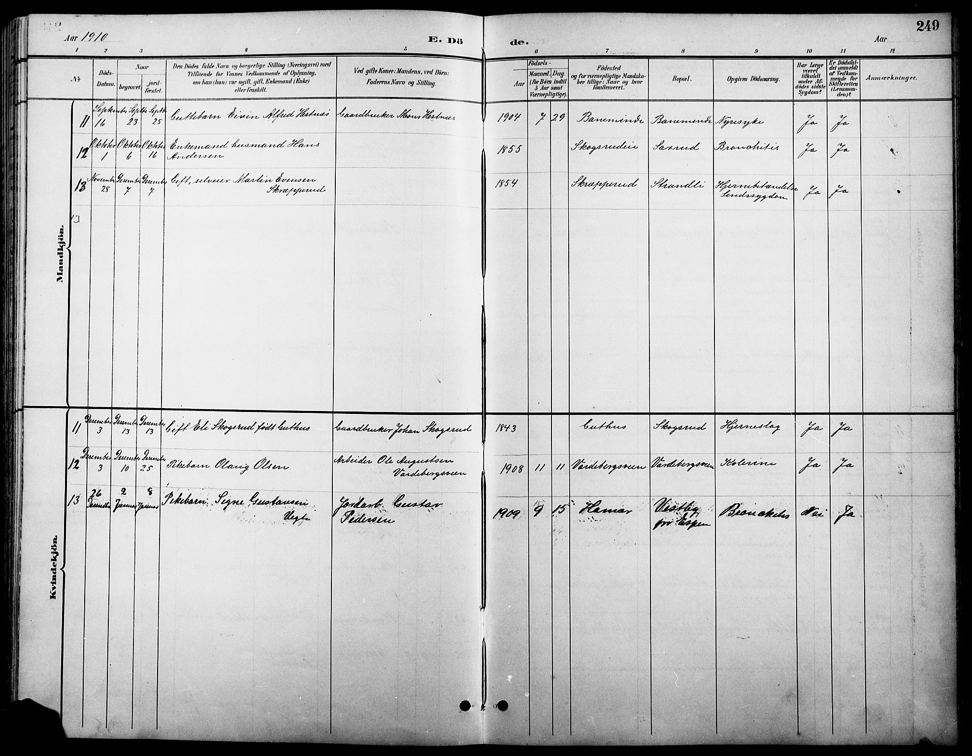 Stange prestekontor, AV/SAH-PREST-002/L/L0011: Parish register (copy) no. 11, 1895-1917, p. 249