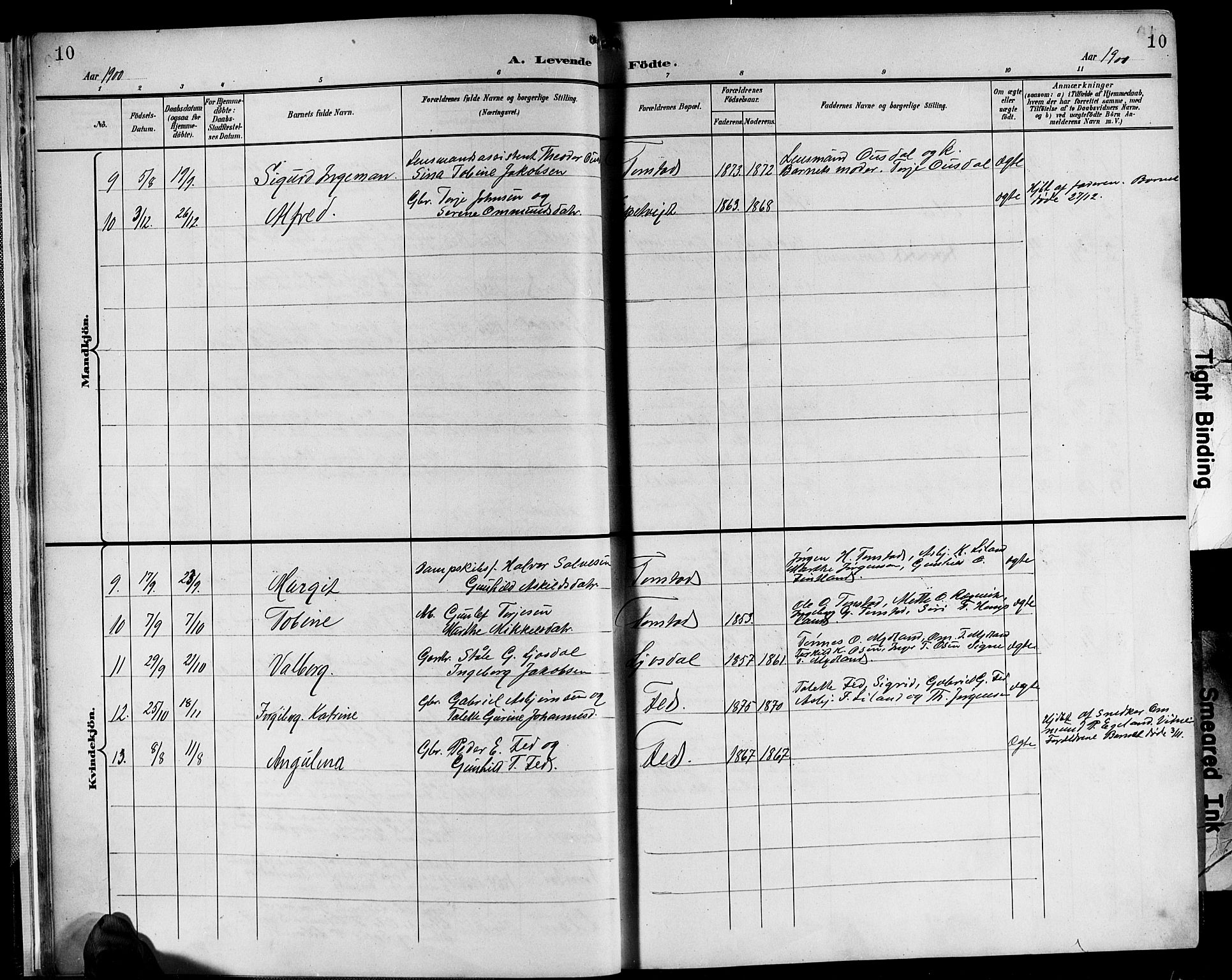 Sirdal sokneprestkontor, SAK/1111-0036/F/Fb/Fbb/L0004: Parish register (copy) no. B 4, 1895-1916, p. 10