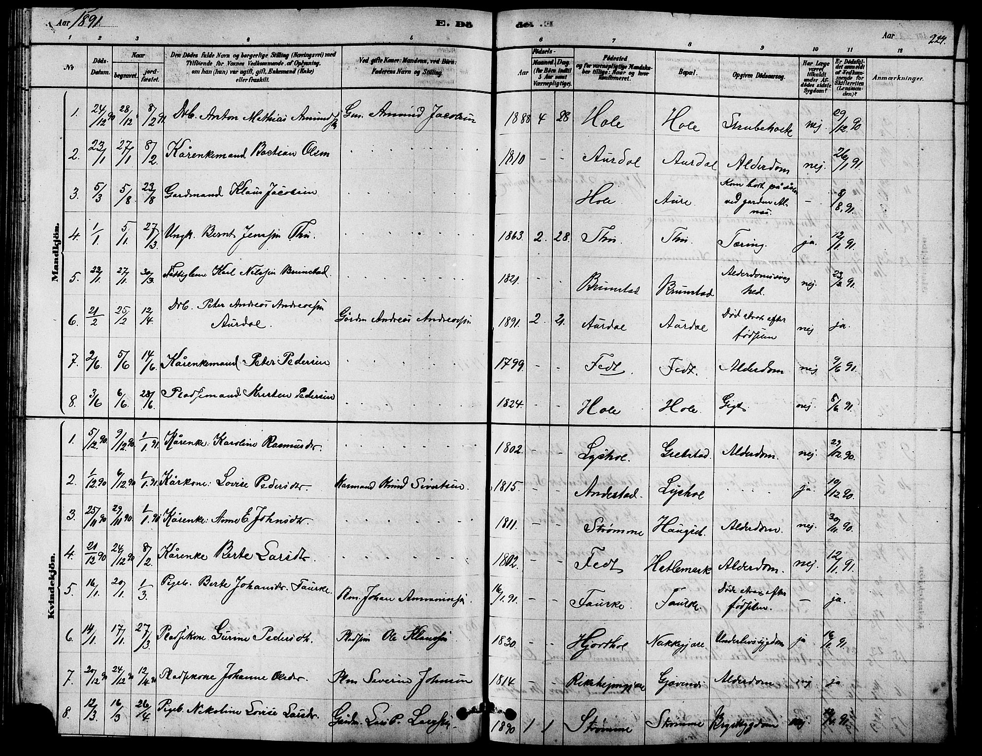 Ministerialprotokoller, klokkerbøker og fødselsregistre - Møre og Romsdal, SAT/A-1454/523/L0339: Parish register (copy) no. 523C02, 1878-1891, p. 224