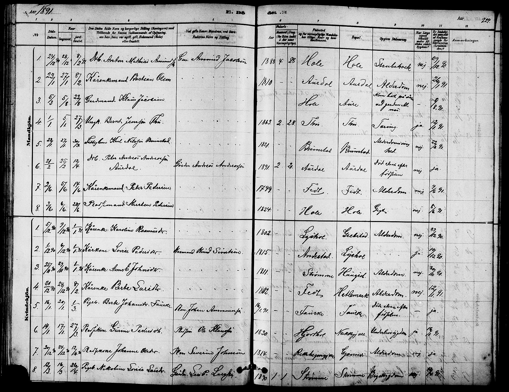 Ministerialprotokoller, klokkerbøker og fødselsregistre - Møre og Romsdal, AV/SAT-A-1454/523/L0339: Parish register (copy) no. 523C02, 1878-1891, p. 224