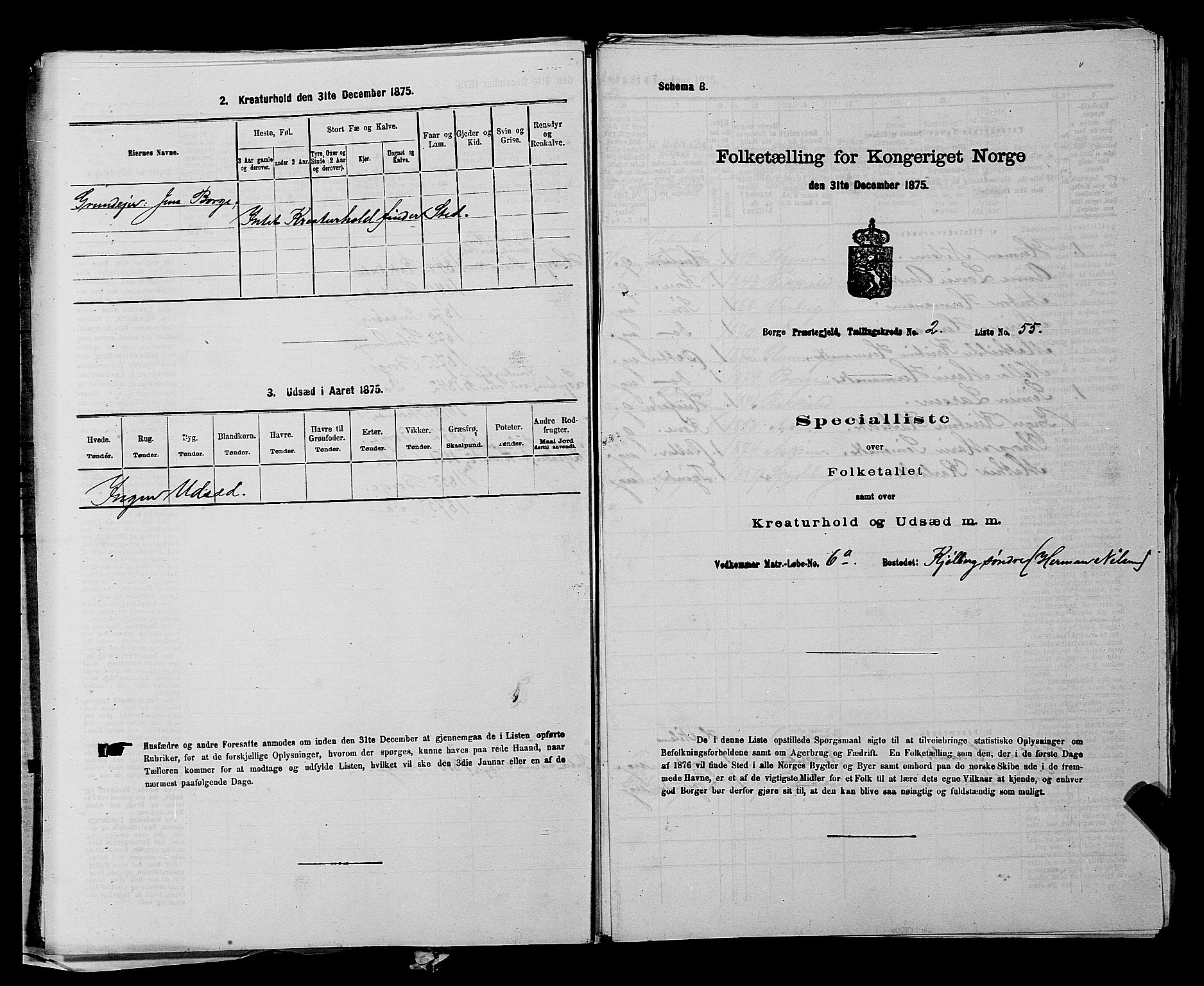 RA, 1875 census for 0113P Borge, 1875, p. 230