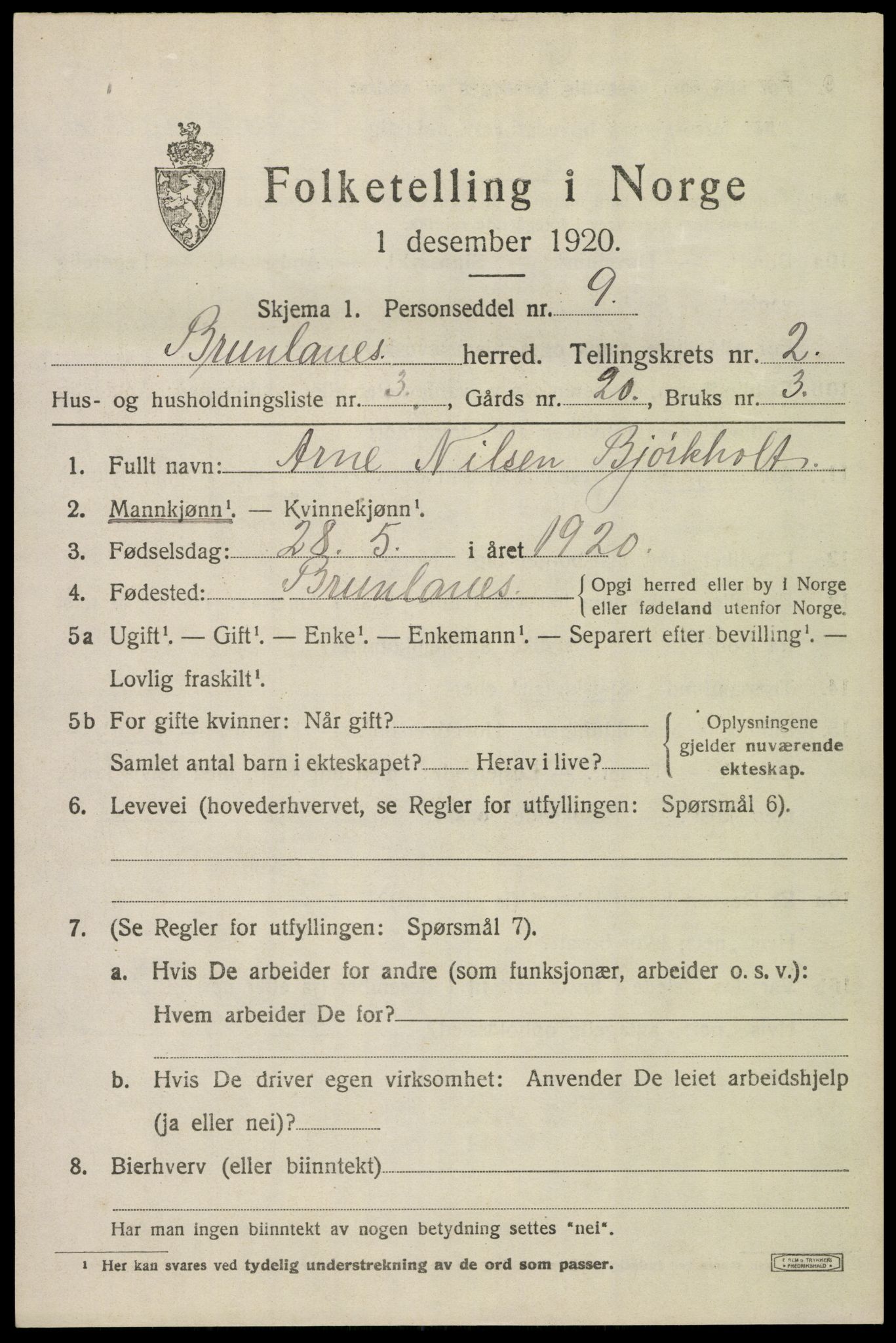 SAKO, 1920 census for Brunlanes, 1920, p. 3355