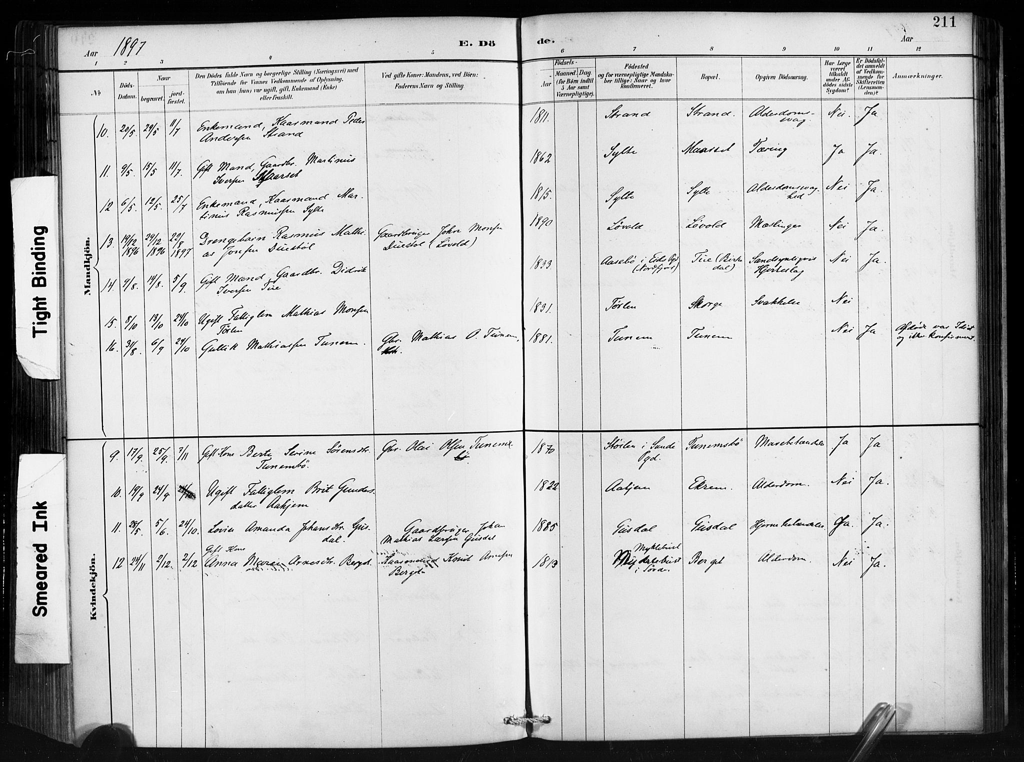 Ministerialprotokoller, klokkerbøker og fødselsregistre - Møre og Romsdal, AV/SAT-A-1454/501/L0008: Parish register (official) no. 501A08, 1885-1901, p. 211