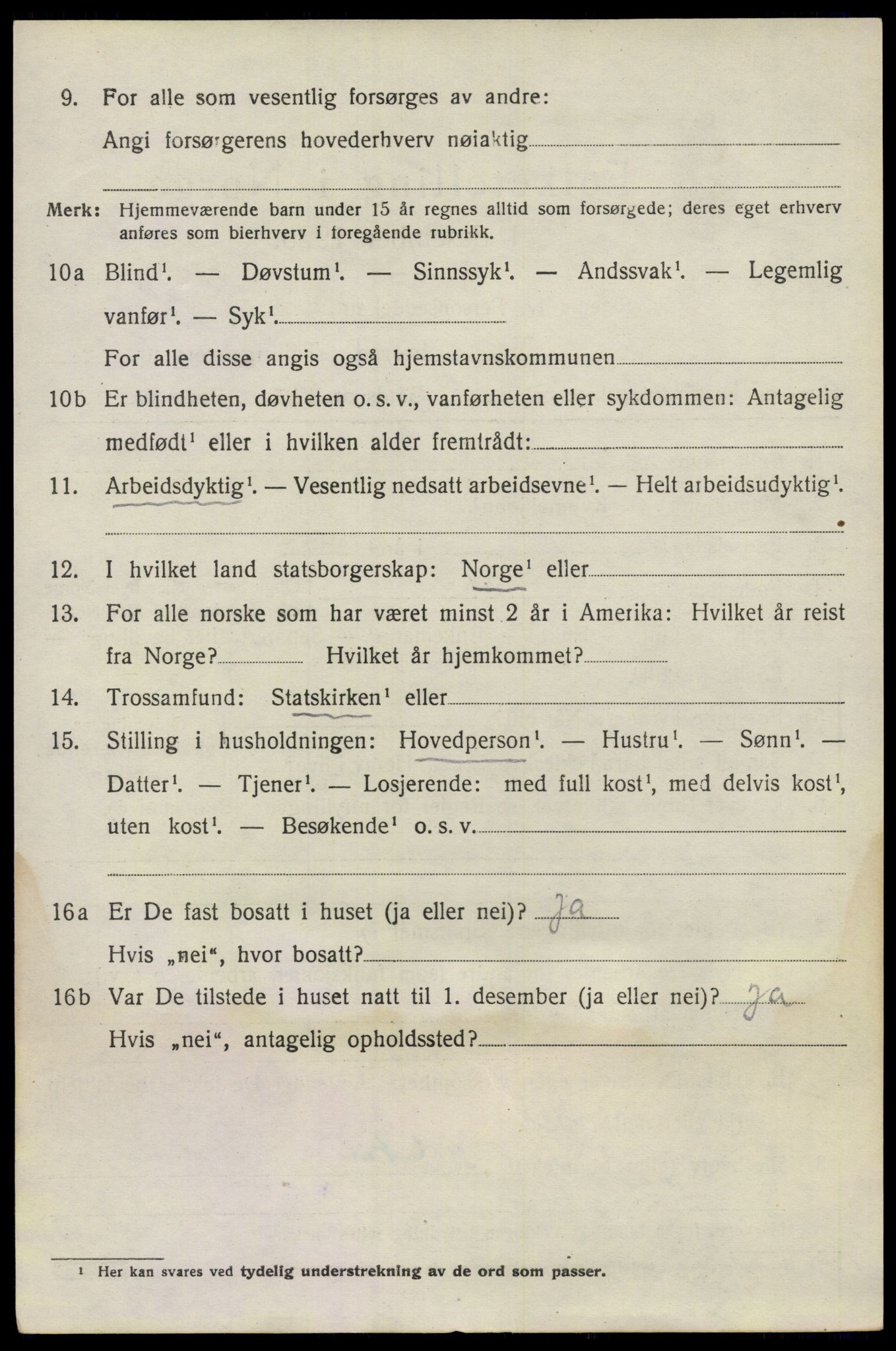 SAO, 1920 census for Nes, 1920, p. 21073