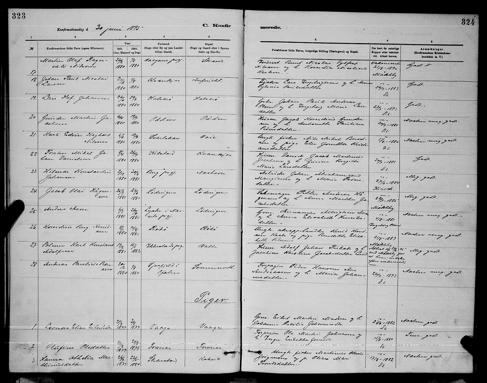 Ministerialprotokoller, klokkerbøker og fødselsregistre - Nordland, AV/SAT-A-1459/872/L1047: Parish register (copy) no. 872C03, 1880-1897, p. 323-324