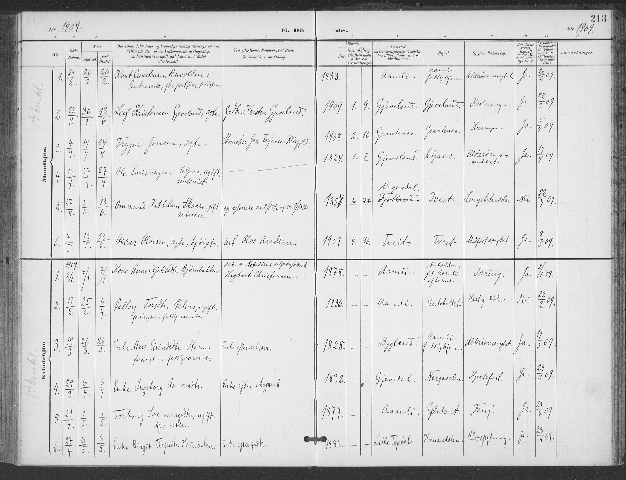 Åmli sokneprestkontor, AV/SAK-1111-0050/F/Fa/Fac/L0012: Parish register (official) no. A 12, 1900-1914, p. 213